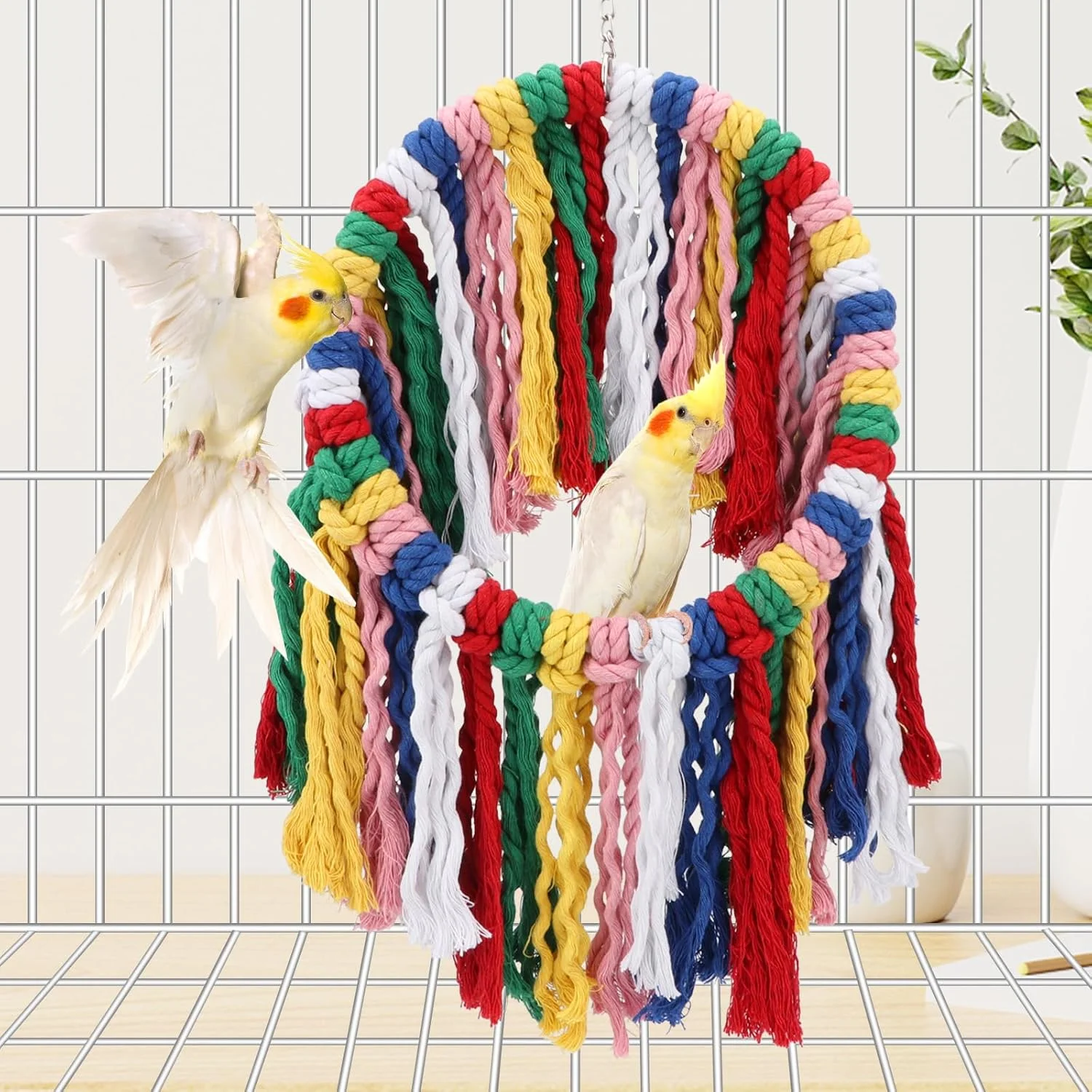 طناب جویدنی پرنده Wontee، اسباب بازی های گاز گرفتن قفس طوطی، حلقه آویز رنگارنگ، تاب، نشیمنگاه برای عروس هلندی، کانور، کوآکر، خاکستری آفریقایی، طوطی آمازون