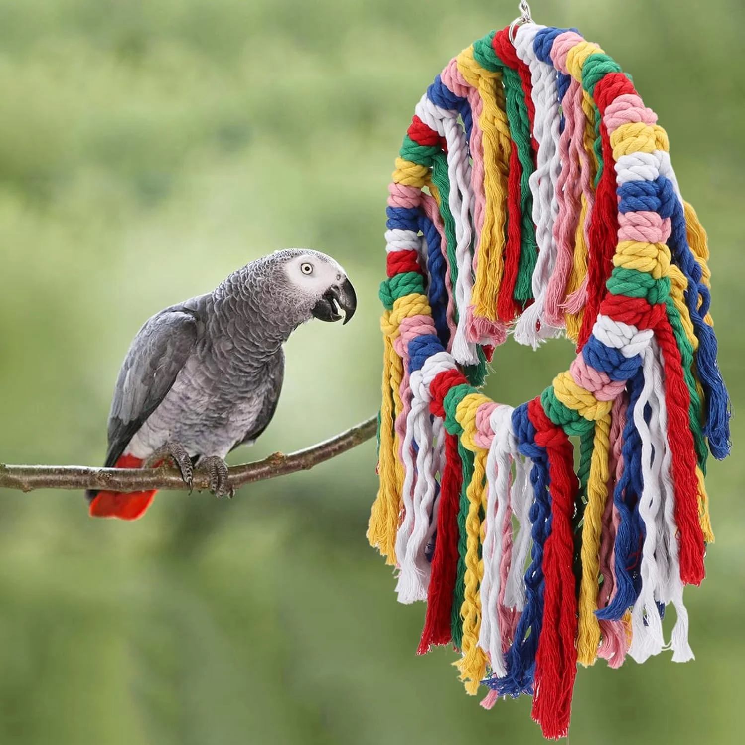 طناب جویدنی پرنده Wontee، اسباب بازی های گاز گرفتن قفس طوطی، حلقه آویز رنگارنگ، تاب، نشیمنگاه برای عروس هلندی، کانور، کوآکر، خاکستری آفریقایی، طوطی آمازون
