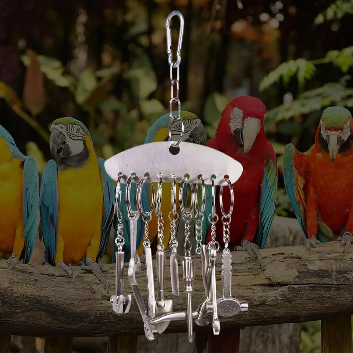 اسباب بازی زنگوله ای پرنده ZYYRSS از جنس استیل ضد زنگ، اسباب بازی های قفس پرنده برای طوطی ها، بازی آموزشی تعاملی، بازی پرنده برای رفع خستگی برای کاکادوهای کوچک اسباب بازی زنگوله ای پرنده ZYYRSS از جنس استیل ضد زنگ، اسباب بازی های قفس پرنده برای طوطی ها، بازی آموزشی تعاملی، بازی پرنده برای رفع خستگی برای کاکادوهای کوچک