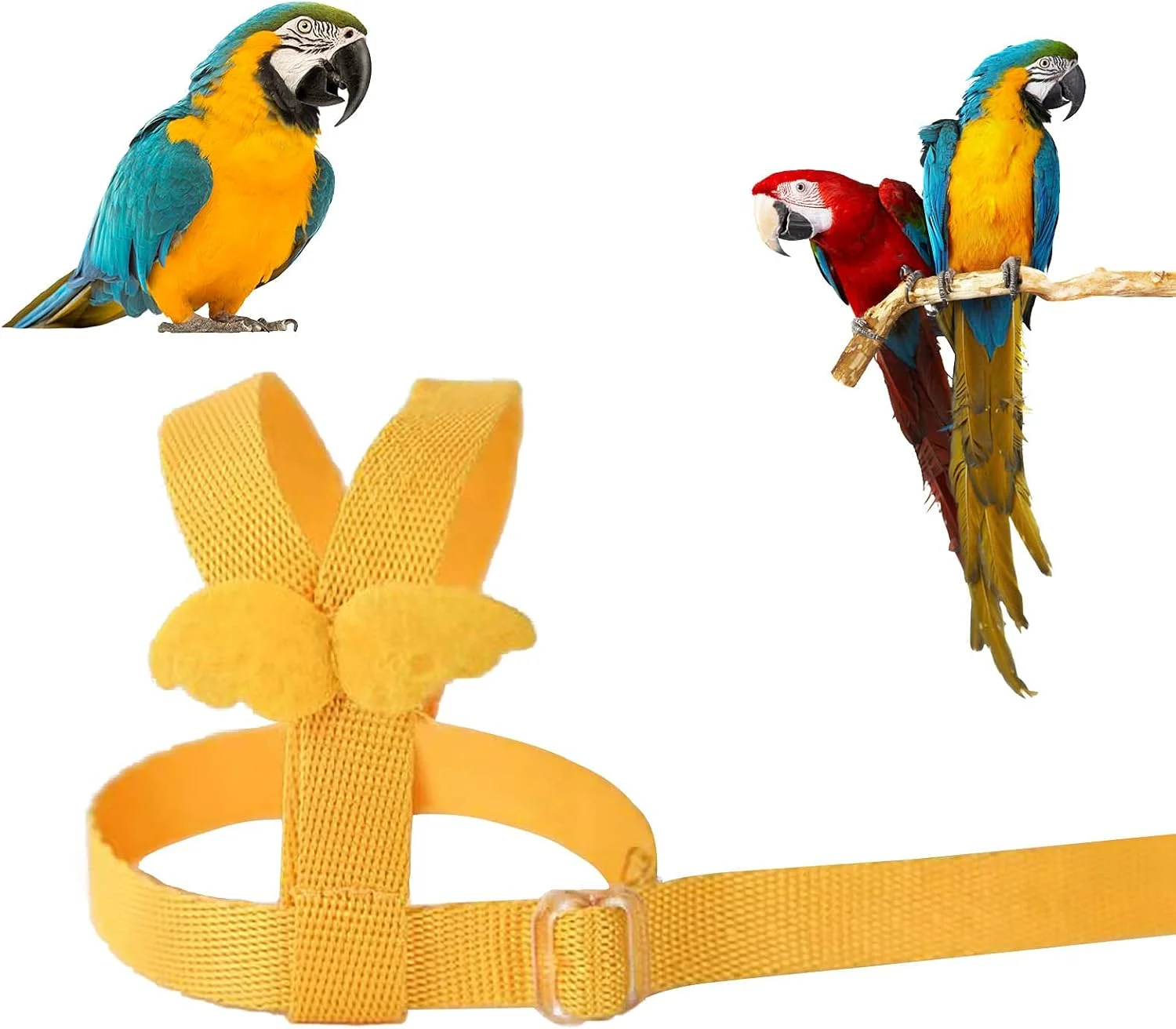 هارنس قابل تنظیم Winmany برای طوطی ها، بند و افسار طوطی برای آموزش پرواز در فضای باز، بند الاستیک ضد گاز گرفتن برای طوطی ها، کاکادوها و ماکائوها هارنس قابل تنظیم Winmany برای طوطی ها، بند و افسار طوطی برای آموزش پرواز در فضای باز، بند الاستیک ضد گاز گرفتن برای طوطی ها، کاکادوها و ماکائوها