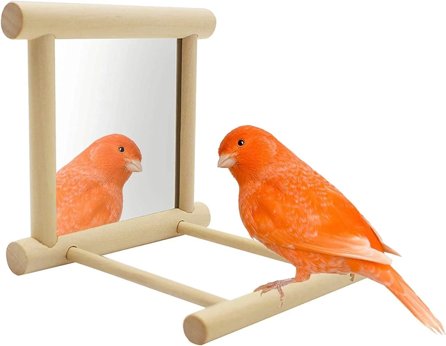 اسباب بازی آینه ای قفس پرنده Vsell24، میله نشیمنگاه و اسباب بازی پرنده برای طوطی، مرغ عشق، عروس هلندی، کانور، فنچ و قناری، 10X10X10 سانتی متر