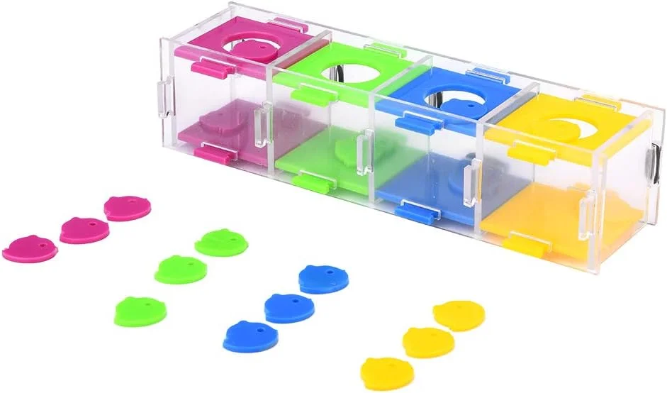 اسباب بازی آموزشی طوطی اکریلیک Velaurs، اسباب بازی آموزشی هوش پرنده غیر سمی، آموزش جداسازی رنگ، اسباب بازی پازل تعاملی، لوازم جانبی قفس اسباب بازی آموزشی طوطی برای طوطی پرنده اسباب بازی آموزشی طوطی اکریلیک Velaurs، اسباب بازی آموزشی هوش پرنده غیر سمی، آموزش جداسازی رنگ، اسباب بازی پازل تعاملی، لوازم جانبی قفس اسباب بازی آموزشی طوطی برای طوطی پرنده