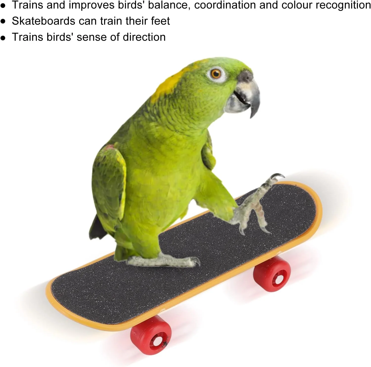 اسباب بازی بسکتبال پرنده، 4 تکه اسباب بازی آموزشی تعاملی برای آموزش پرندگان، بهبود مهارت های متعادل چند منظوره، اسباب بازی هوش طوطی، اسباب بازی های آموزشی طوطی برای عروس هلندی اسباب بازی بسکتبال پرنده، 4 تکه اسباب بازی آموزشی تعاملی برای آموزش پرندگان، بهبود مهارت های متعادل چند منظوره، اسباب بازی هوش طوطی، اسباب بازی های آموزشی طوطی برای عروس هلندی