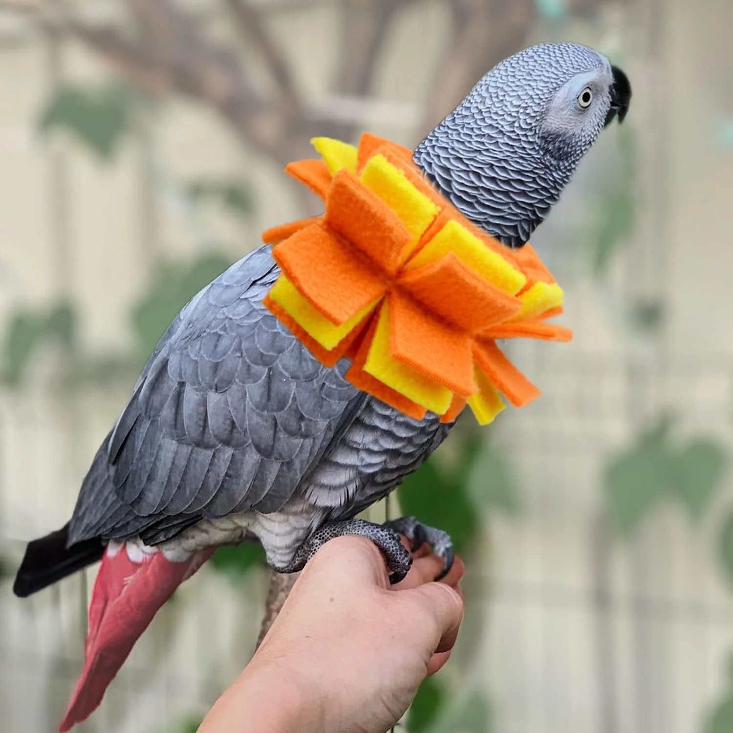 یقه گردنی ومومپ برای جلوگیری از پرکنی طوطی خاکستری آفریقایی، محافظ گردن ضد گاز گرفتن پرنده یقه گردنی ومومپ برای جلوگیری از پرکنی طوطی خاکستری آفریقایی، محافظ گردن ضد گاز گرفتن پرنده