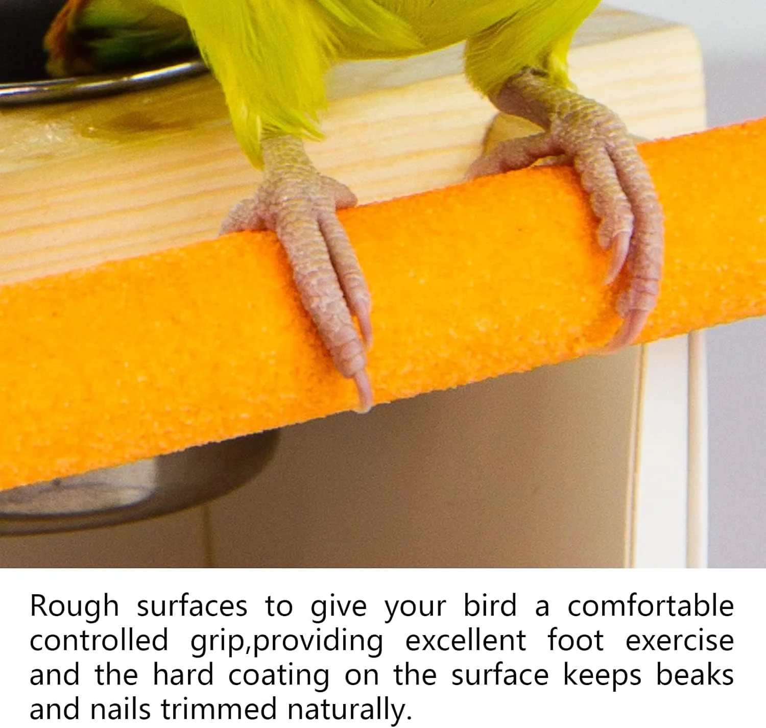 آینه اسباب بازی طوطی تزویق، قاب های چوبی پرنده با فنجان های استیل ضد زنگ، آینه اسباب بازی طوطی برای پاراکیت های کوچک، عروس هلندی، کانور، فنچ، مرغ عشق، ماکائو، طوطی ها، مرغ عشق آینه اسباب بازی طوطی تزویق، قاب های چوبی پرنده با فنجان های استیل ضد زنگ، آینه اسباب بازی طوطی برای پاراکیت های کوچک، عروس هلندی، کانور، فنچ، مرغ عشق، ماکائو، طوطی ها، مرغ عشق