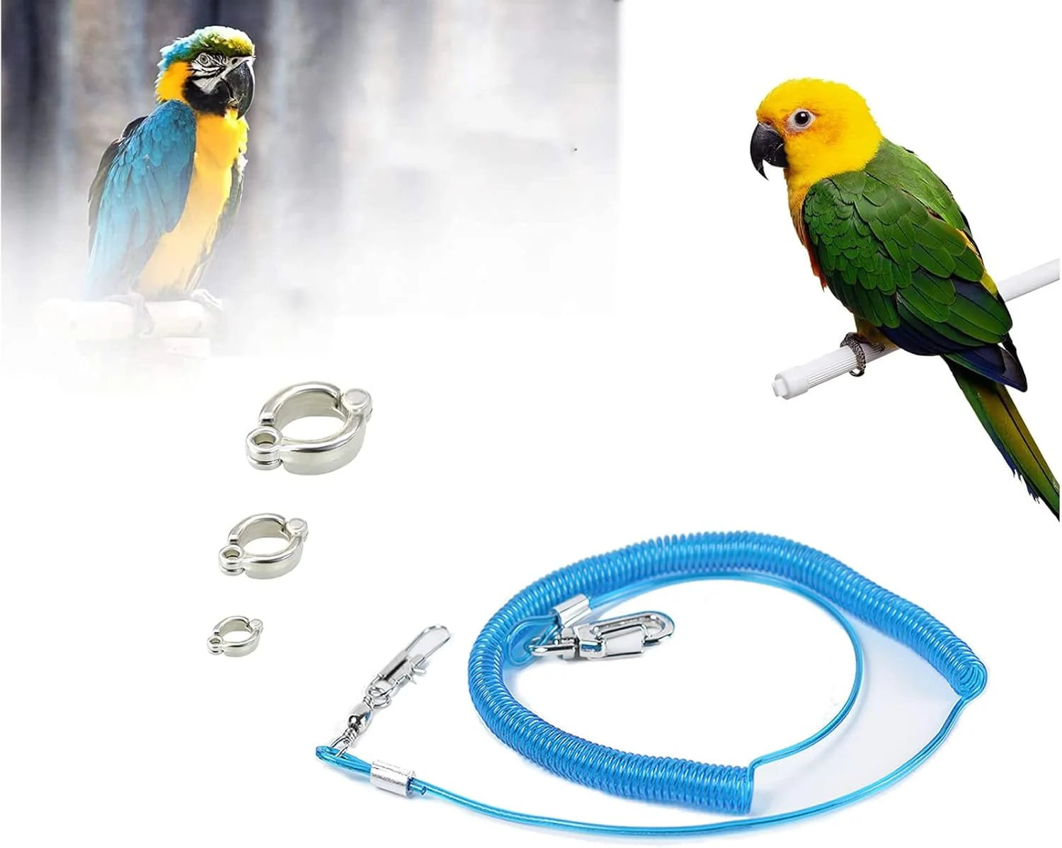 هارنس پرواز طوطی SYOSI - بند آموزشی 6 متری ضد گاز گرفتن با 3 حلقه پا برای ماکائو، کاسکو، مرغ عشق هارنس پرواز طوطی SYOSI - بند آموزشی 6 متری ضد گاز گرفتن با 3 حلقه پا برای ماکائو، کاسکو، مرغ عشق