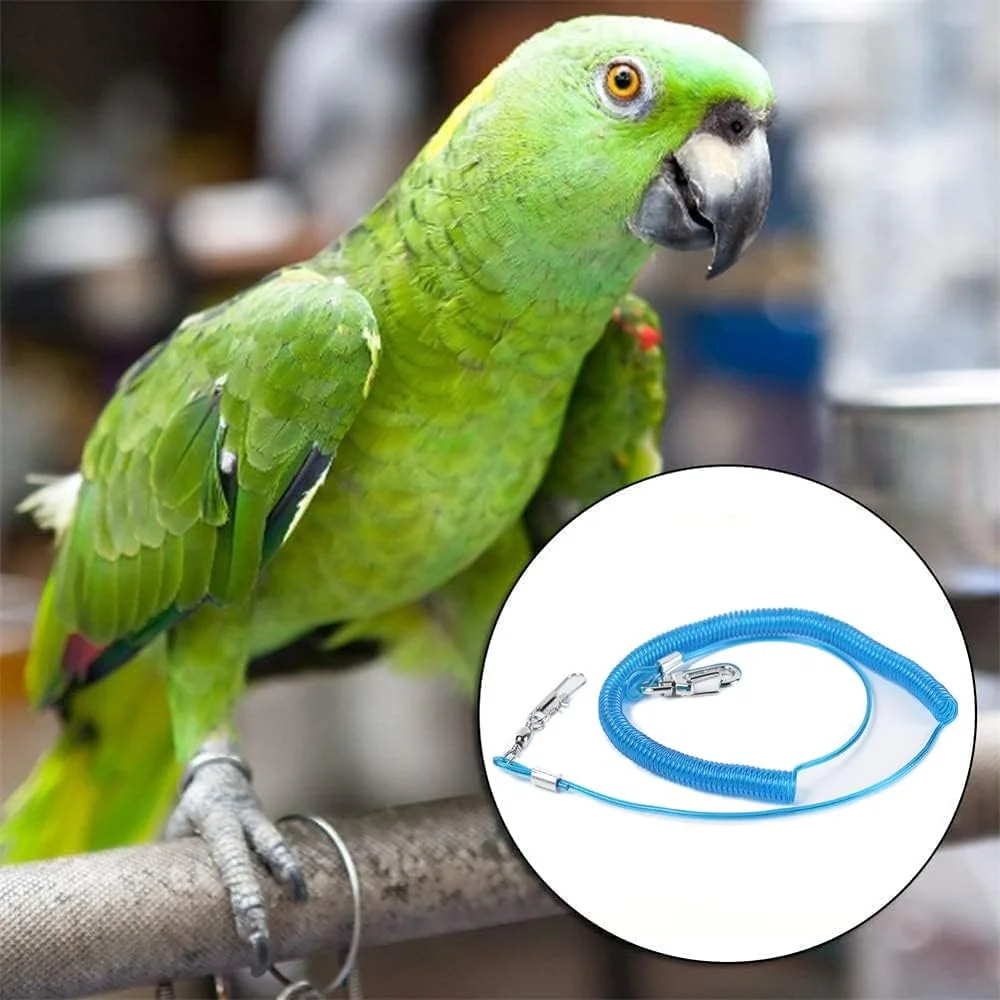 هارنس پرواز طوطی SYOSI - بند آموزشی 6 متری ضد گاز گرفتن با 3 حلقه پا برای ماکائو، کاسکو، مرغ عشق