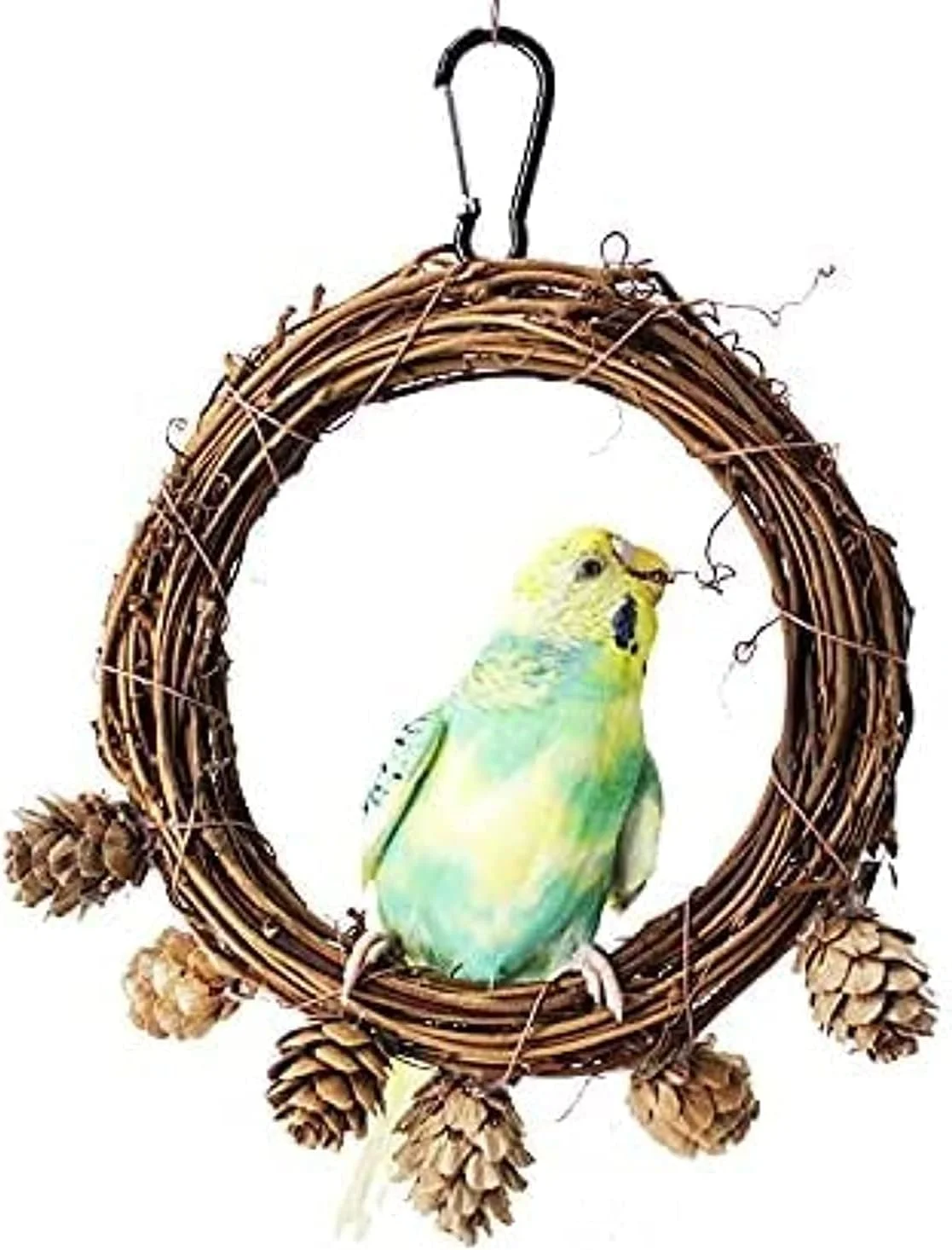 تاب بازی طوطی SYOSI با مخروط های کاج - میله های نشیمن پرنده برای طوطی های کوچک، عروس هلندی، کانور، ماکائو، طوطی، مرغ عشق، فنچ تاب بازی طوطی SYOSI با مخروط های کاج - میله های نشیمن پرنده برای طوطی های کوچک، عروس هلندی، کانور، ماکائو، طوطی، مرغ عشق، فنچ