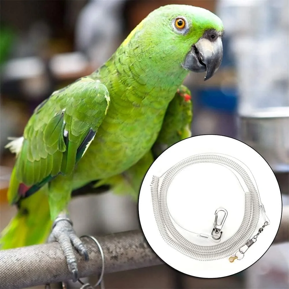 طناب پرواز طوطی SYOSI، افسار آموزش پرواز پرنده ضد گاز گرفتگی 6 متری، لوازم حیوانات خانگی برای ماکائو، خاکستری های آفریقایی، پاراکیت (قطر حلقه پا 8.5 میلی متر)