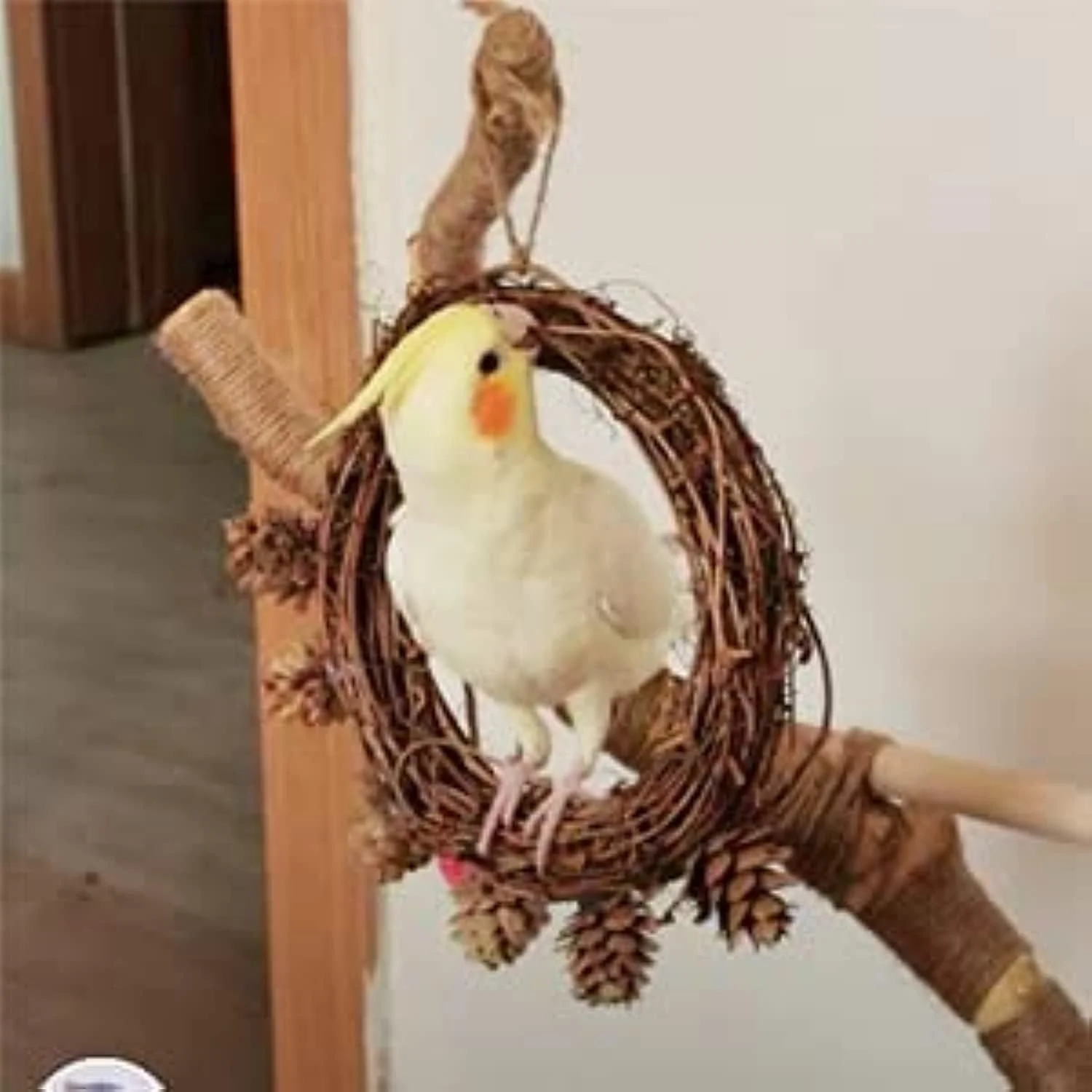 تاب بازی طوطی SYOSI با مخروط های کاج - میله های نشیمن پرنده برای طوطی های کوچک، عروس هلندی، کانور، ماکائو، طوطی، مرغ عشق، فنچ