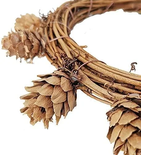 تاب بازی طوطی SYOSI با مخروط های کاج - میله های نشیمن پرنده برای طوطی های کوچک، عروس هلندی، کانور، ماکائو، طوطی، مرغ عشق، فنچ