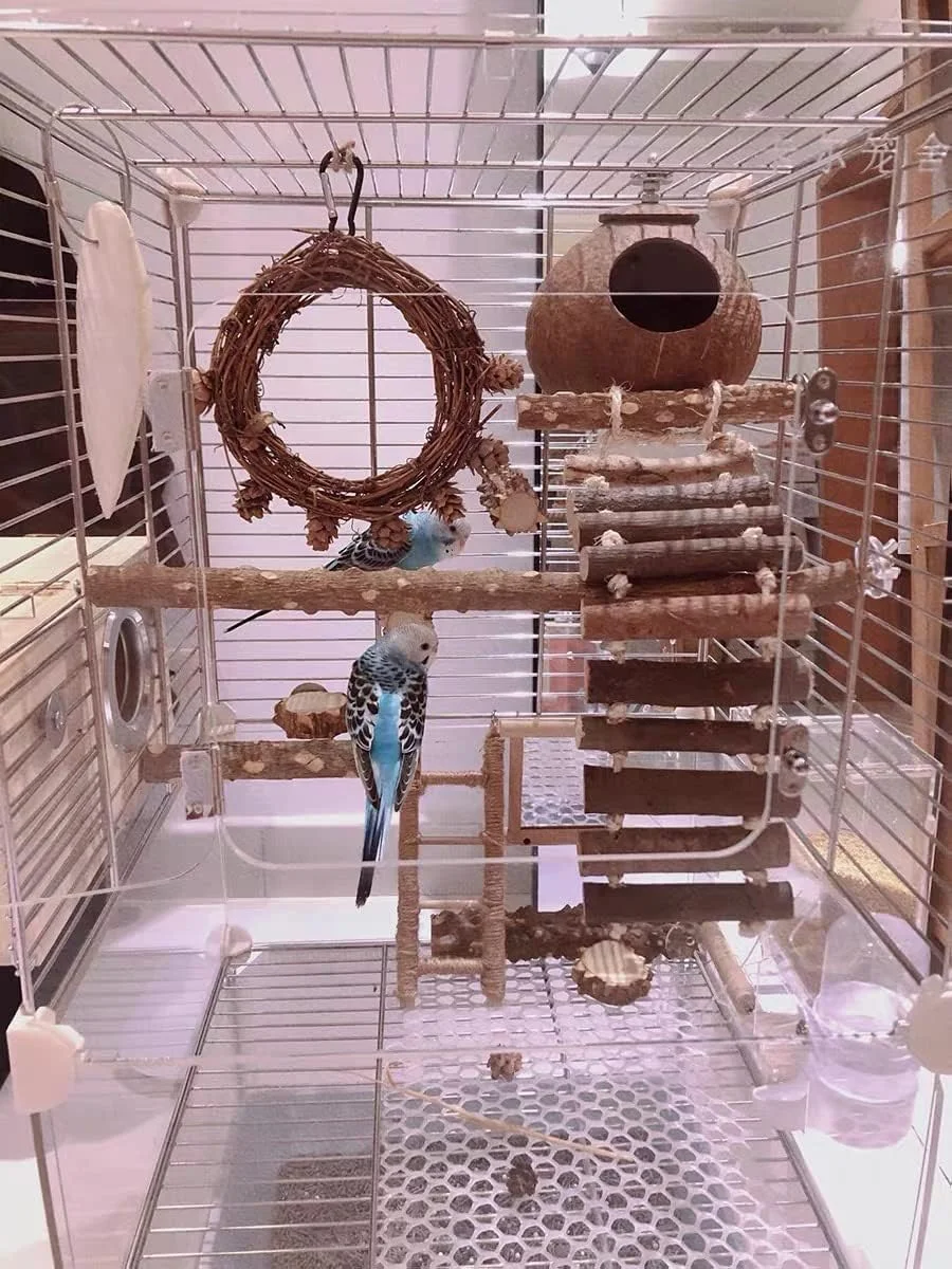 تاب بازی طوطی SYOSI با مخروط های کاج - میله های نشیمن پرنده برای طوطی های کوچک، عروس هلندی، کانور، ماکائو، طوطی، مرغ عشق، فنچ