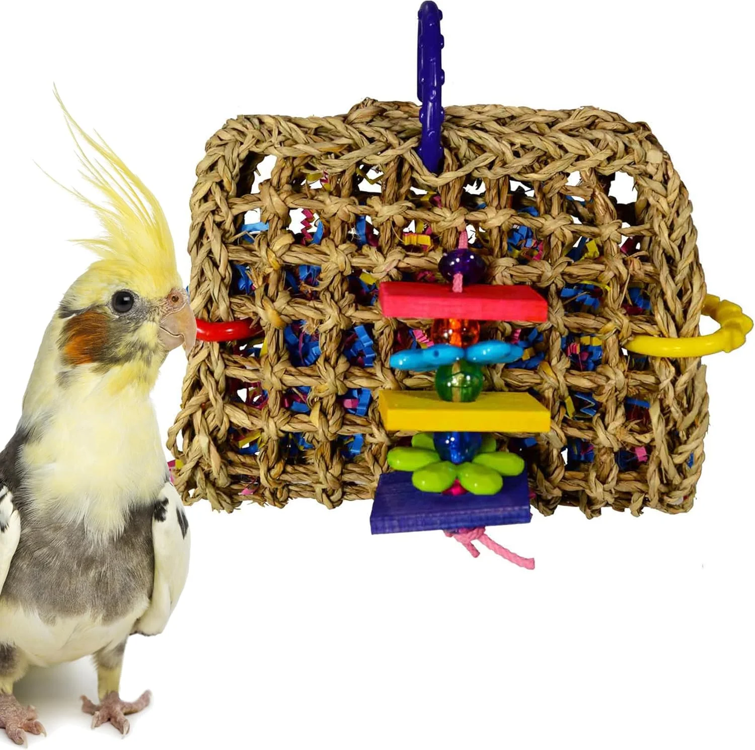 اسباب بازی کیسه ای کوچک SUPERBIRD Super Bird Creations برای جستجوی غذا برای پرندگان اسباب بازی کیسه ای کوچک SUPERBIRD Super Bird Creations برای جستجوی غذا برای پرندگان