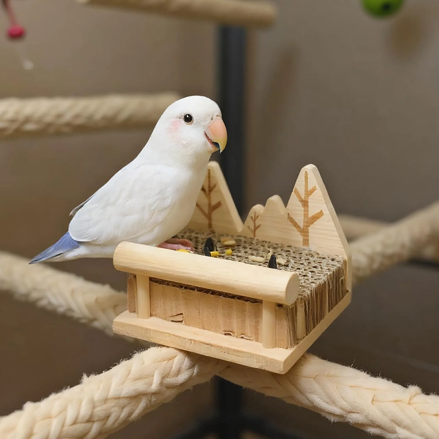 اسباب بازی طوطی، اسباب بازی چوبی نشیمنگاه پرنده برای قفس، لوازم جانبی برای ساخت، آموزش داخلی، بازی در فضای باز، خرد کردن، جویدن و بازی اسباب بازی طوطی، اسباب بازی چوبی نشیمنگاه پرنده برای قفس، لوازم جانبی برای ساخت، آموزش داخلی، بازی در فضای باز، خرد کردن، جویدن و بازی