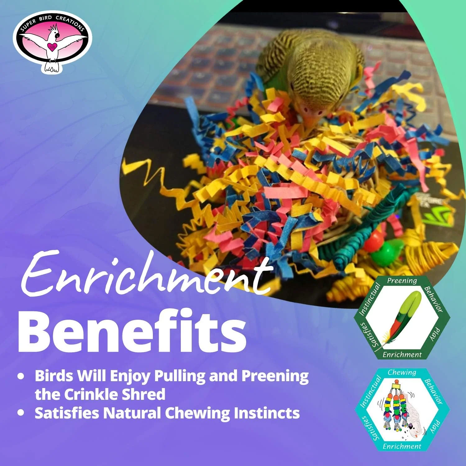 اسباب بازی پرنده ستاره کوچک چین دار سوپربیرد کریشنز SB541 - سایز کوچک، مناسب برای عروس هلندی، مرغ عشق و پرندگان کوچک - اسباب بازی جستجو و جویدنی - اسباب بازی محرک برای غنی سازی محیط - 15x5 سانتی متر اسباب بازی پرنده ستاره کوچک چین دار سوپربیرد کریشنز SB541 - سایز کوچک، مناسب برای عروس هلندی، مرغ عشق و پرندگان کوچک - اسباب بازی جستجو و جویدنی - اسباب بازی محرک برای غنی سازی محیط - 15x5 سانتی متر