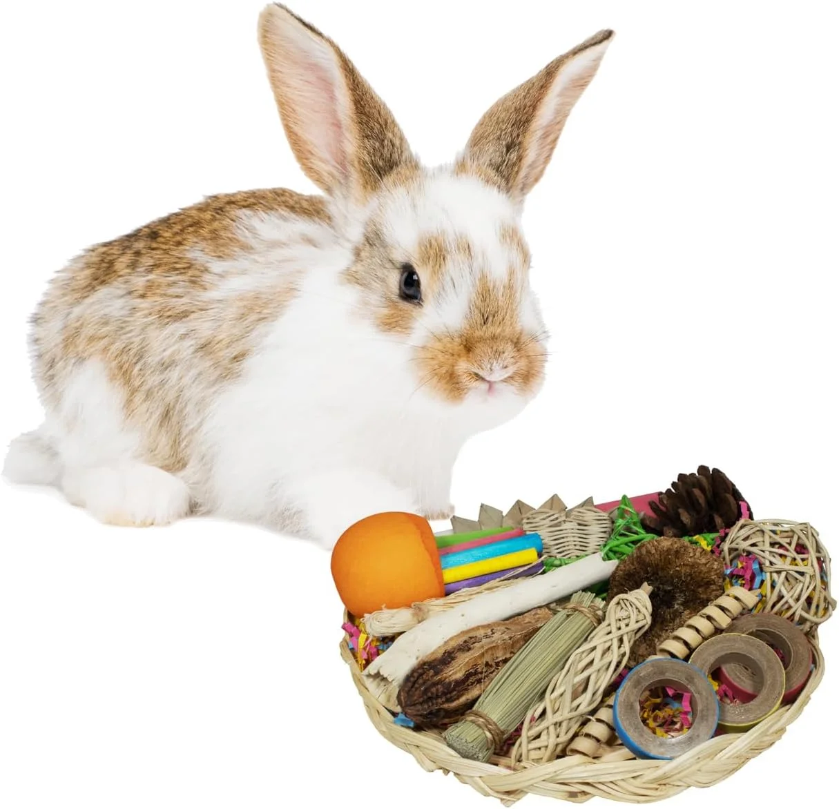 سبد جستجوی خرگوش Super Bird Creations SC228 - صفحه بامبو پرتاب کردنی و جویدنی با 25 اسباب بازی جذاب - ایده آل برای خرگوش ها، همسترها، رینگنک ها - بسته اسباب بازی برای پرندگان متوسط ​​و حیوانات کوچک، 9 اینچ در 9 اینچ