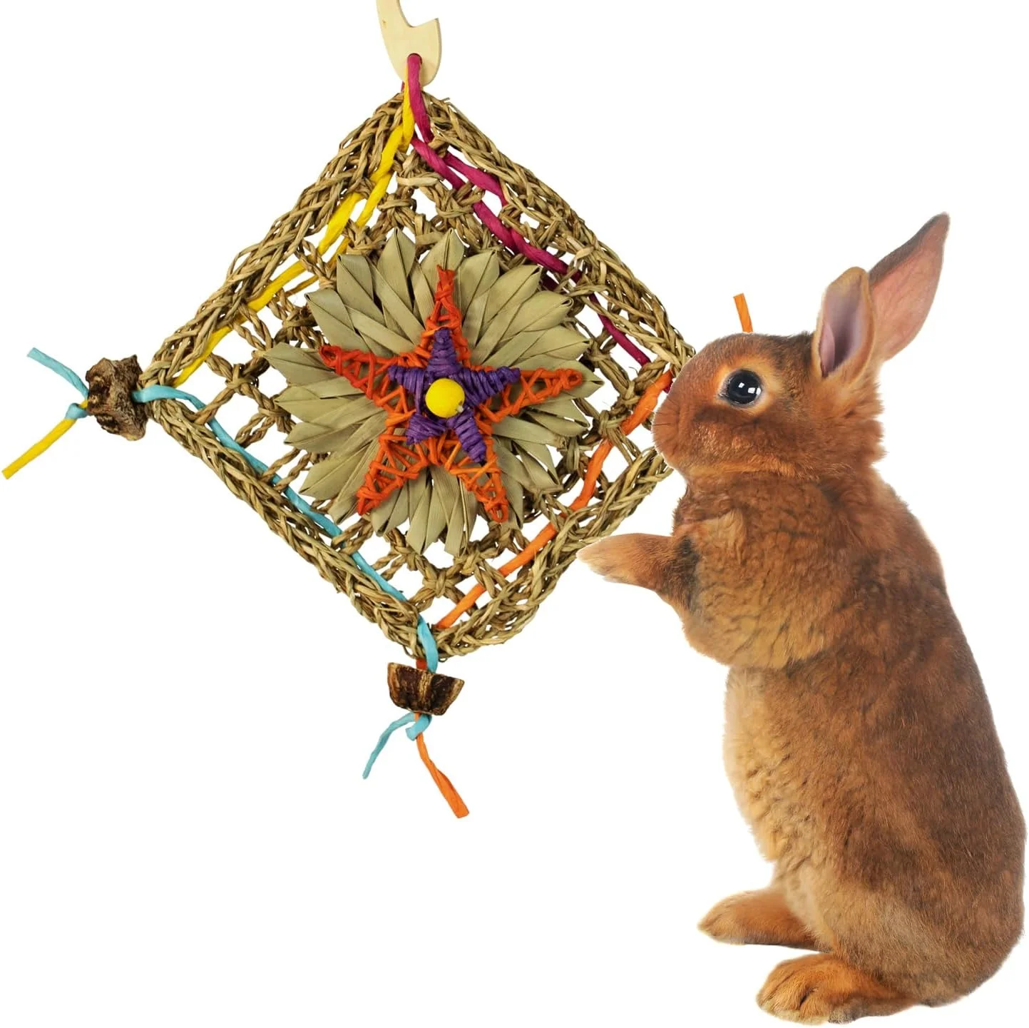 دیوار فعالیت خرگوش سوپر برد کریشنز مدل SC229 - اسباب بازی جویدنی علف دریایی، تشویق به ایستادن و ارتقاء سلامت دندان - خرگوش ها، چینچیلاها و پرندگان - ایده آل برای پرندگان متوسط و حیوانات کوچک، 28 در 30 سانتی متر