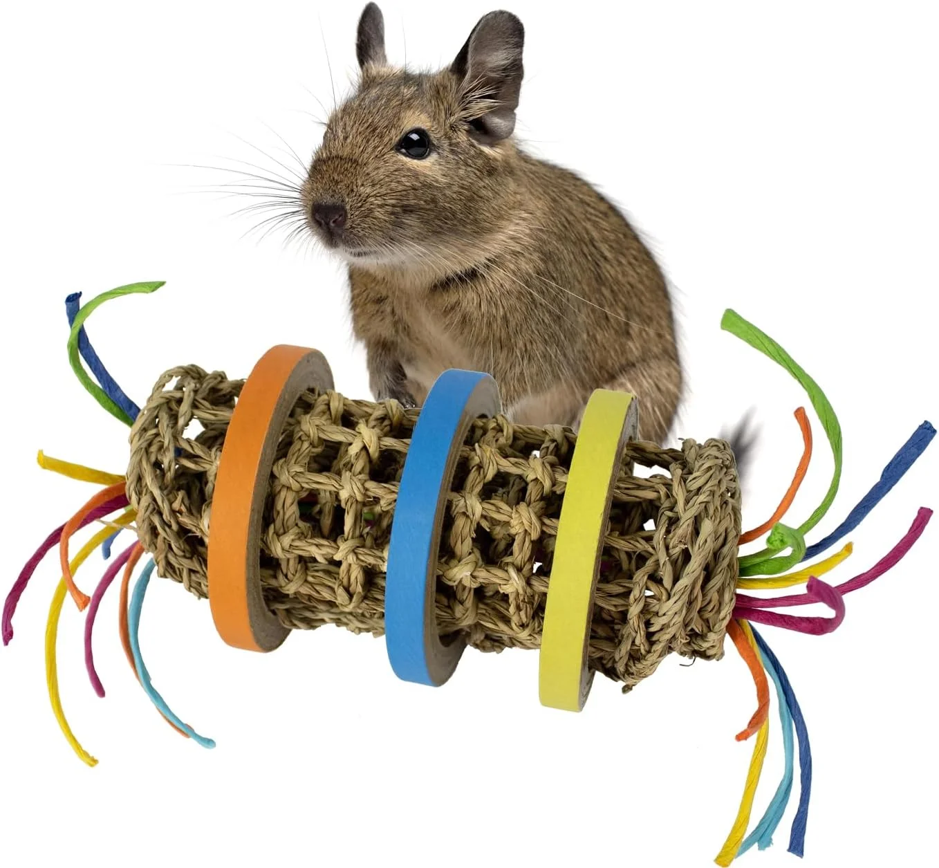 اسباب بازی جویدنی، چرخشی و پرتابی Super Bird Creations SC230 - اسباب بازی سه گانه برای طوطی ها - حصیر علف دریایی با پیچش های کاغذی رنگارنگ، شیرینی حلقه ای برای حداکثر جذابیت - مناسب برای پرندگان متوسط و حیوانات کوچک، 9"x4"