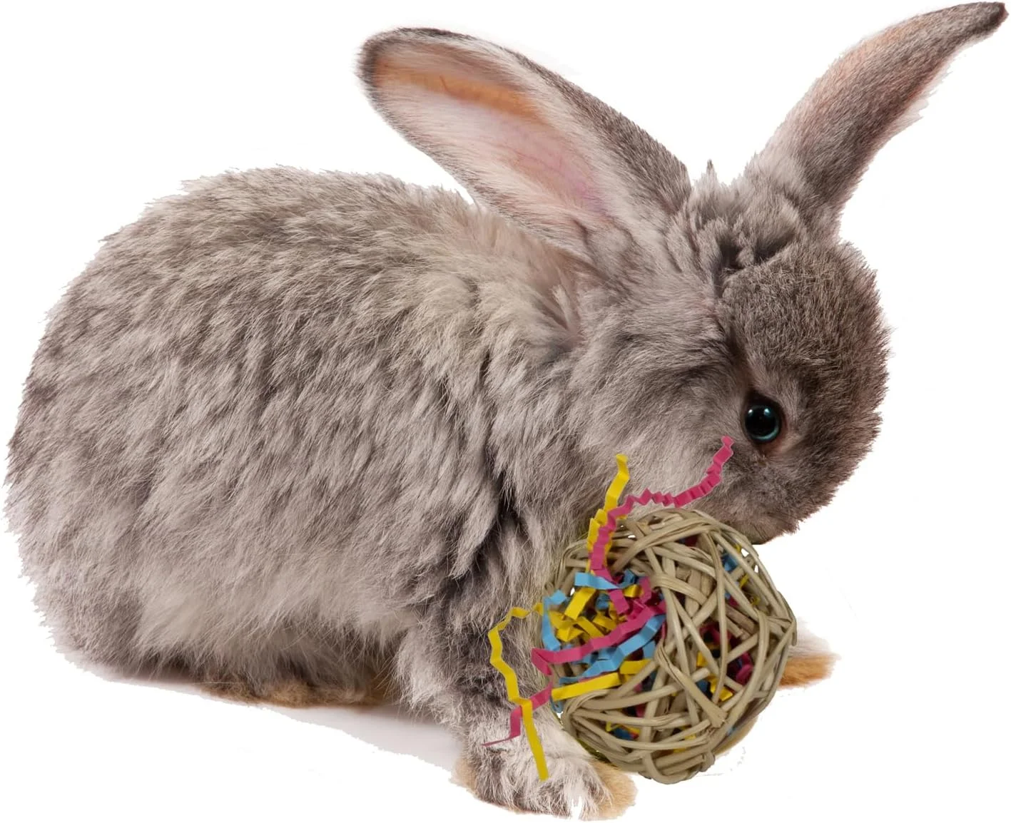 سبد جستجوی خرگوش Super Bird Creations SC228 - صفحه بامبو پرتاب کردنی و جویدنی با 25 اسباب بازی جذاب - ایده آل برای خرگوش ها، همسترها، رینگنک ها - بسته اسباب بازی برای پرندگان متوسط و حیوانات کوچک، 9 اینچ در 9 اینچ سبد جستجوی خرگوش Super Bird Creations SC228 - صفحه بامبو پرتاب کردنی و جویدنی با 25 اسباب بازی جذاب - ایده آل برای خرگوش ها، همسترها، رینگنک ها - بسته اسباب بازی برای پرندگان متوسط و حیوانات کوچک، 9 اینچ در 9 اینچ