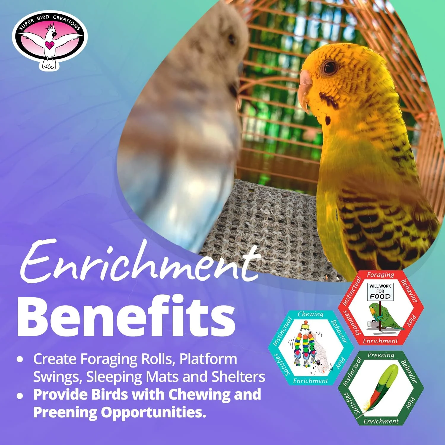 حصیر علف دریایی Super Bird Creations SB50002 برای دکور قفس، غنی سازی حیوانات خانگی و رفع خستگی - پایه ساخت اسباب بازی چند منظوره - ایده آل برای طوطی ها - پرندگان و خزندگان کوچک تا بزرگ - 7"x7" (بسته 3 عددی)