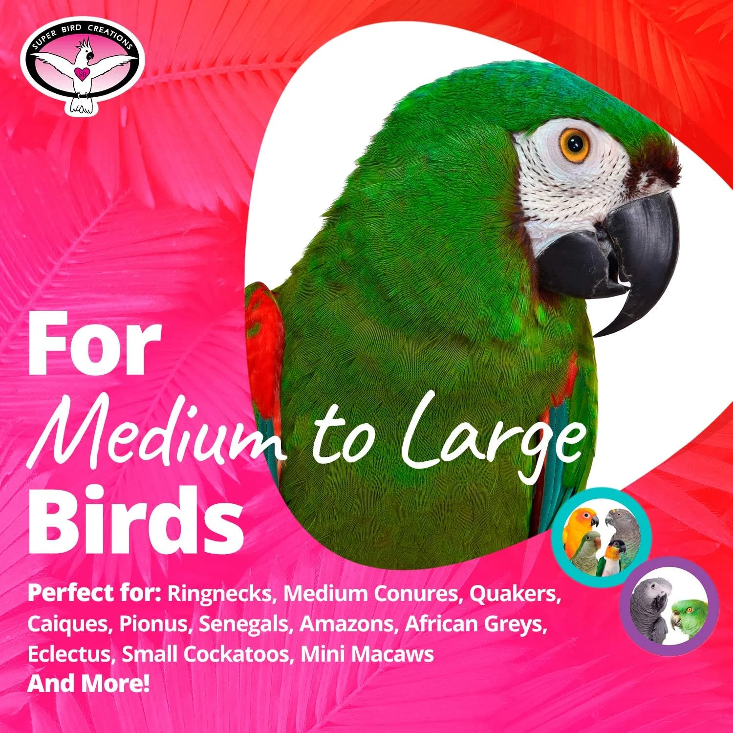 اسباب بازی پرندگان Super Bird Creations SB632 مدل Bottom’s Up، دارای فنجان های اکریلیک شفاف، سایز متوسط/بزرگ، 45.72 سانتی متر x 6.35 سانتی متر اسباب بازی پرندگان Super Bird Creations SB632 مدل Bottom’s Up، دارای فنجان های اکریلیک شفاف، سایز متوسط/بزرگ، 45.72 سانتی متر x 6.35 سانتی متر