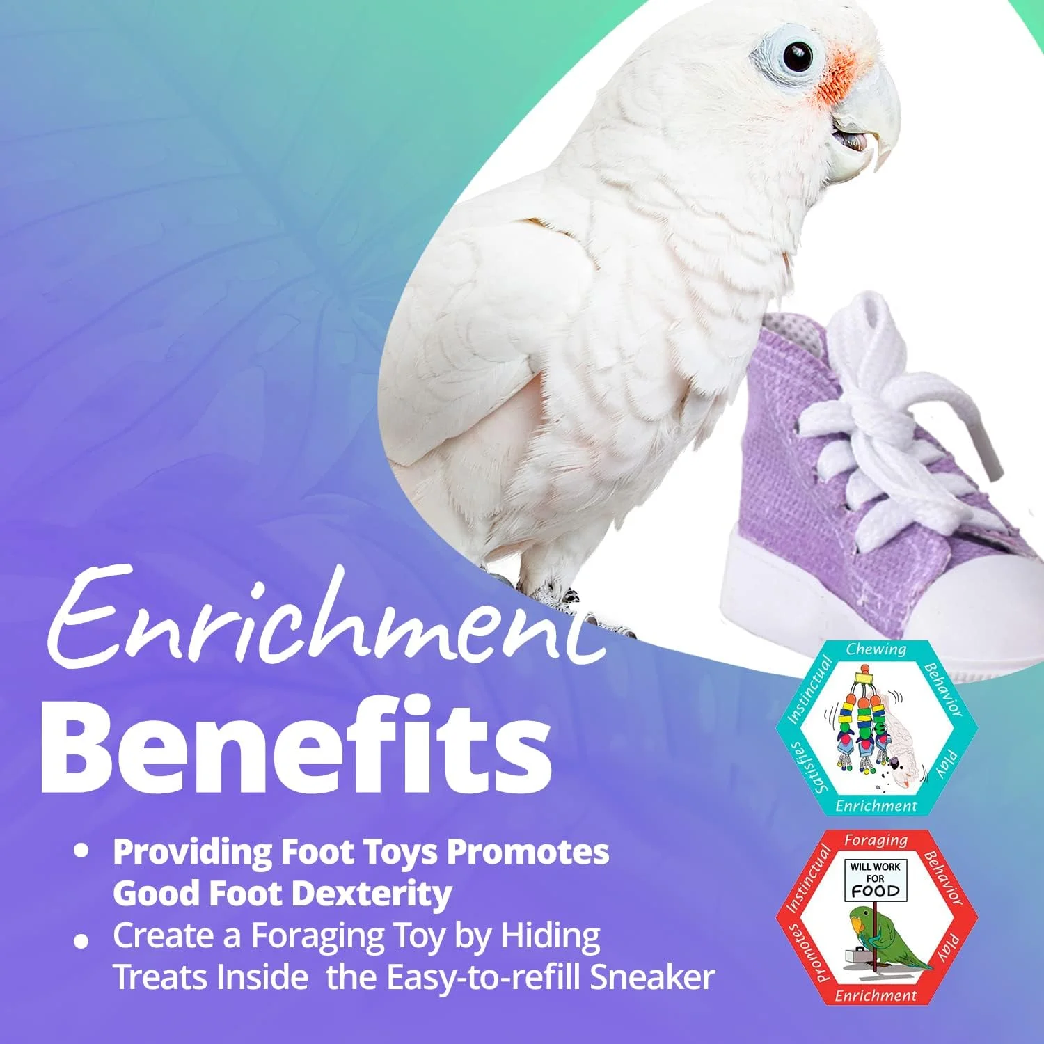 اسباب بازی پرنده مدل کتانی Super Bird Creations SB50009 - اسباب بازی جویدنی بادوام و ایمن، ایده آل برای پرندگان کوچک تا بزرگ، تشویق به بازی طبیعی و مهارت پا - رنگ های متنوع و زنده 3" x1-1/2 x 1-3/8" (بسته 6 عددی) اسباب بازی پرنده مدل کتانی Super Bird Creations SB50009 - اسباب بازی جویدنی بادوام و ایمن، ایده آل برای پرندگان کوچک تا بزرگ، تشویق به بازی طبیعی و مهارت پا - رنگ های متنوع و زنده 3" x1-1/2 x 1-3/8" (بسته 6 عددی)