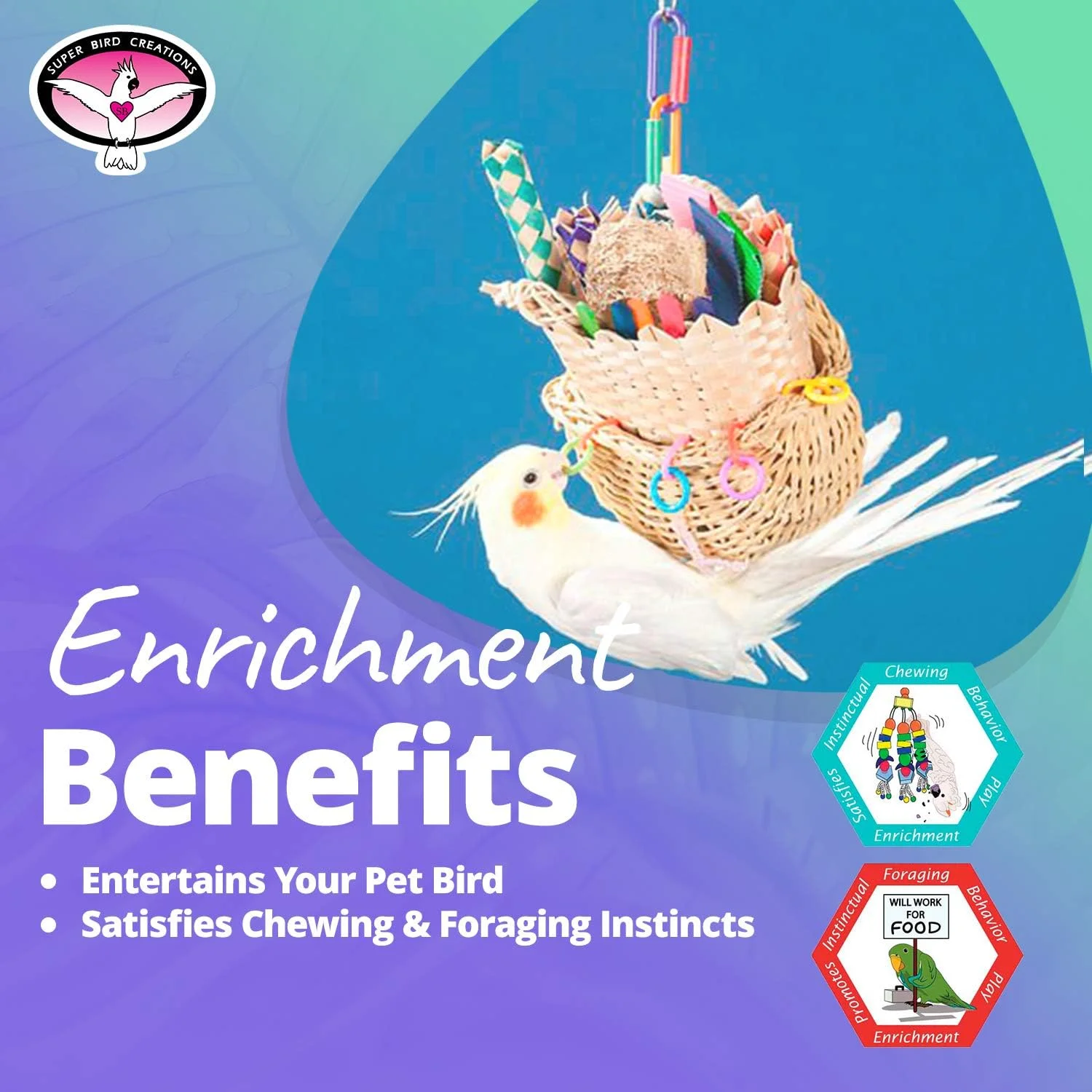 اسباب بازی سبد حصیری Super Bird Creations SB669 با مجموعه ای از اسباب بازی های جویدنی برای طوطی ها، سایز متوسط، 25.4 سانتی متر × 10.16 سانتی متر × 12.7 سانتی متر، متنوع، 1 عدد (بسته 1 عددی) اسباب بازی سبد حصیری Super Bird Creations SB669 با مجموعه ای از اسباب بازی های جویدنی برای طوطی ها، سایز متوسط، 25.4 سانتی متر × 10.16 سانتی متر × 12.7 سانتی متر، متنوع، 1 عدد (بسته 1 عددی)