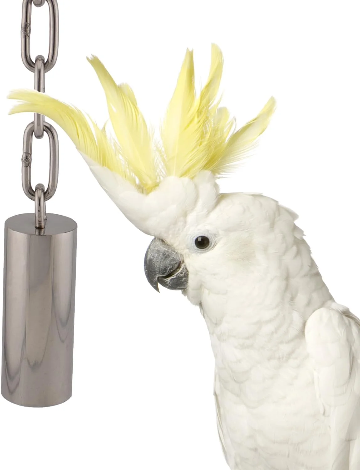 زنگوله های لوله ای استیل ضد زنگ Super Bird Creations SB1242 - لوازم جانبی قفس پرنده برای غنی سازی صوتی - ایده آل برای طوطی ها، آمازون ها، خاکستری ها، کاکادوها و ماکائو ها (متوسط)