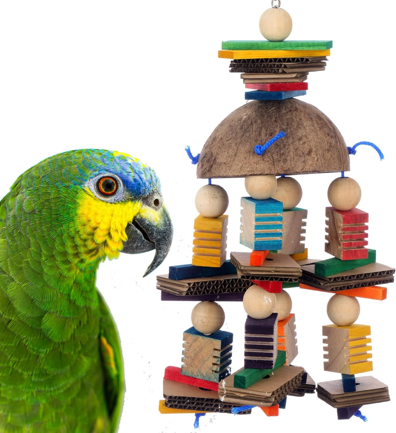 اسباب بازی موبایل نارگیلی پرندگان Super Bird Creations SB1224 - ارضای غریزه جویدن - مناسب برای طوطی های رینگ نک، کانورهای متوسط، کوآکرها، خاکستری آفریقایی - تشویق به کاوش نوک - ایده آل برای اندازه پرندگان متوسط تا بزرگ