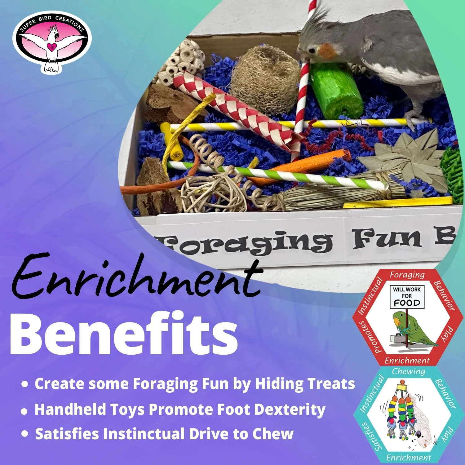 جعبه اسباب بازی های سرگرم کننده Super Bird Creations SB1237 - کیت فعالیت با بیش از 30 قطعه اسباب بازی ایمن برای پرندگان - اسباب بازی های غنی سازی برای طوطی های گردن حلقه ای، کانورهای متوسط، پیونوس و سنگال - ایده آل برای اندازه متوسط پرندگان جعبه اسباب بازی های سرگرم کننده Super Bird Creations SB1237 - کیت فعالیت با بیش از 30 قطعه اسباب بازی ایمن برای پرندگان - اسباب بازی های غنی سازی برای طوطی های گردن حلقه ای، کانورهای متوسط، پیونوس و سنگال - ایده آل برای اندازه متوسط پرندگان