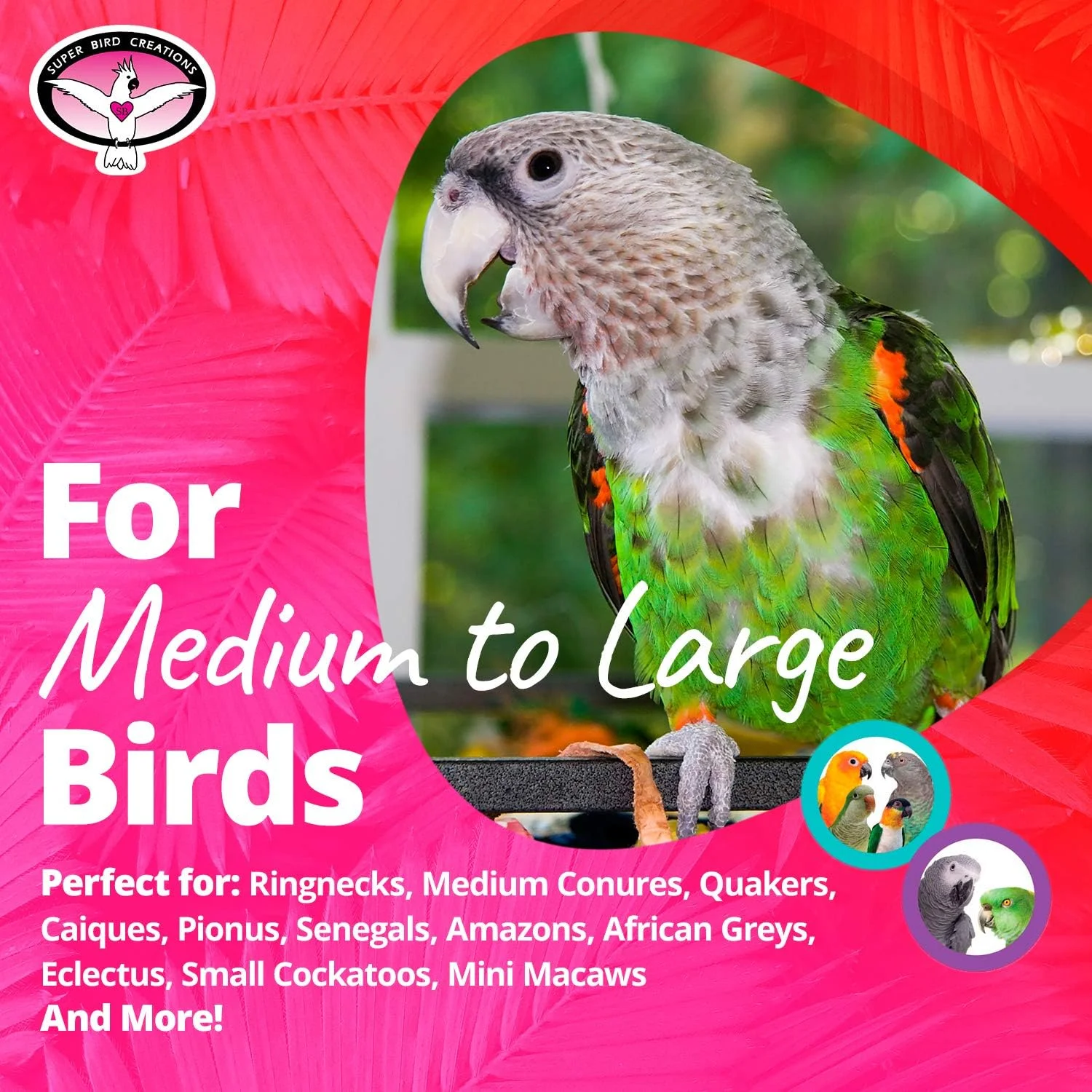 اسباب بازی جویدنی کاغذی مهمانی پرندگان Super Bird Creations SB301 با چوب های آب نبات رنگارنگ، سایز بزرگ، 16.5cm x 3.8cm x 3.8cm، متنوع اسباب بازی جویدنی کاغذی مهمانی پرندگان Super Bird Creations SB301 با چوب های آب نبات رنگارنگ، سایز بزرگ، 16.5cm x 3.8cm x 3.8cm، متنوع