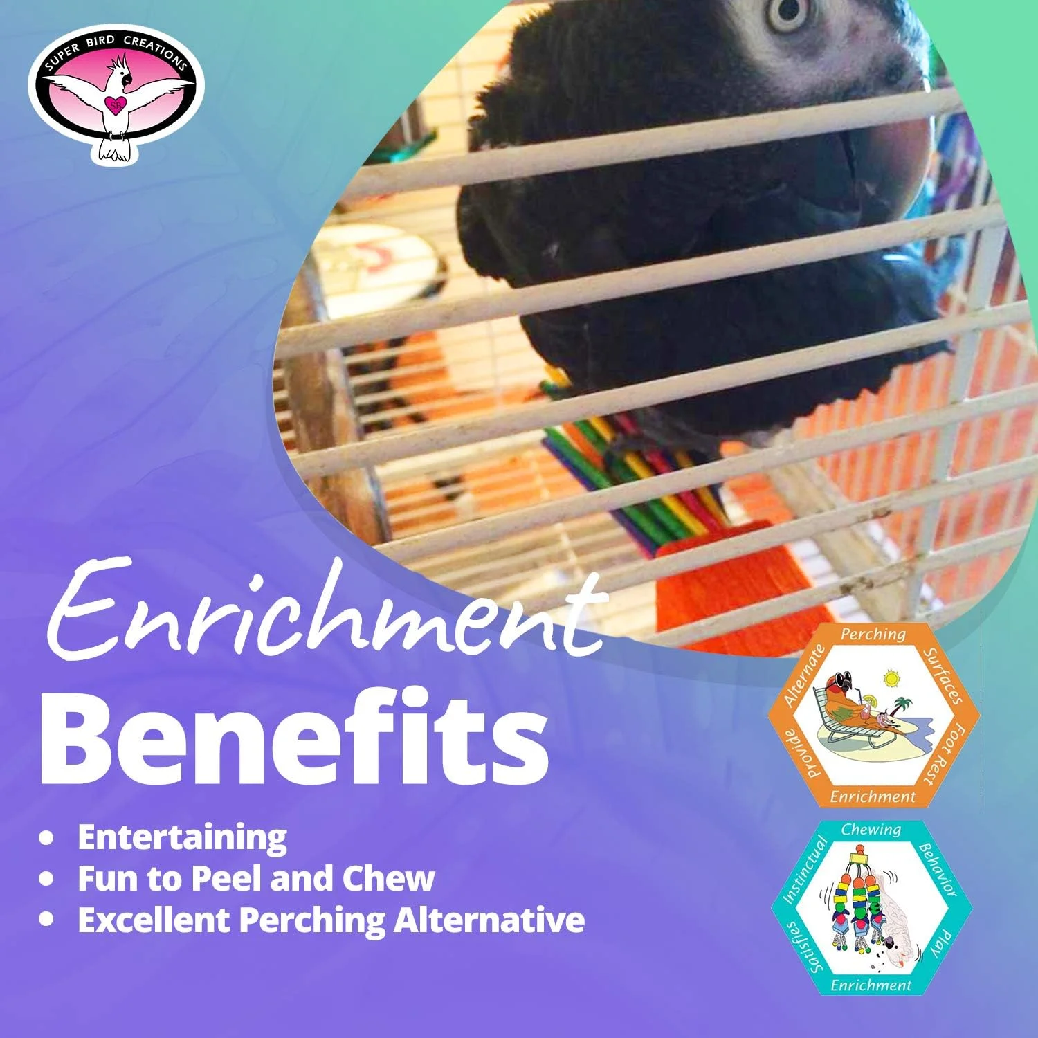 اسباب بازی جویدنی کاغذی مهمانی پرندگان Super Bird Creations SB301 با چوب های آب نبات رنگارنگ، سایز بزرگ، 16.5cm x 3.8cm x 3.8cm، متنوع اسباب بازی جویدنی کاغذی مهمانی پرندگان Super Bird Creations SB301 با چوب های آب نبات رنگارنگ، سایز بزرگ، 16.5cm x 3.8cm x 3.8cm، متنوع