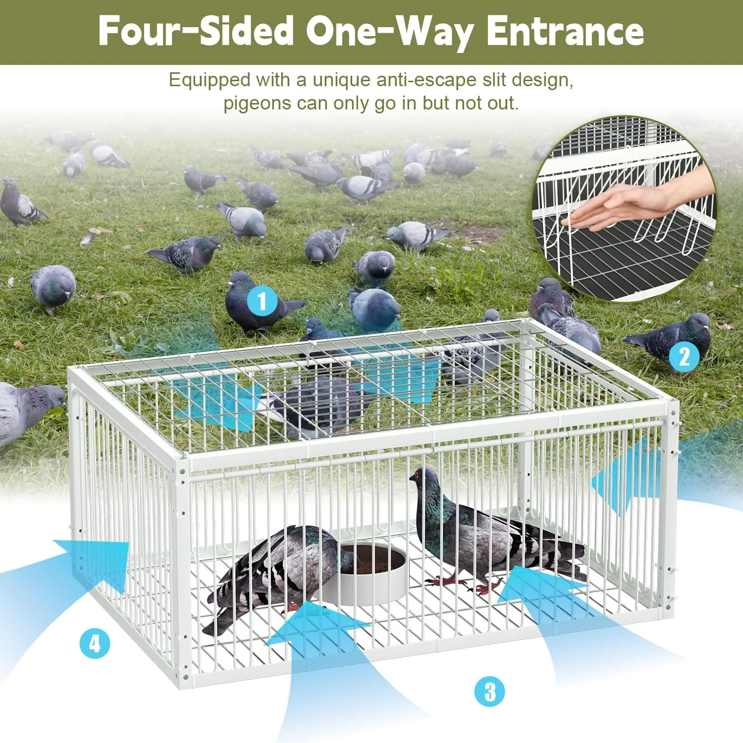 تله کبوتر یبایمی با ورودی یک طرفه (4 درب)، قفس گیرنده پرنده، تله خودکار کبوتر با طراحی ضد فرار، قفس پرنده برای کبوترهای مسابقه ای و طوطی، برای فضای باز و داخلی، 60x40x26 سانتی متر تله کبوتر یبایمی با ورودی یک طرفه (4 درب)، قفس گیرنده پرنده، تله خودکار کبوتر با طراحی ضد فرار، قفس پرنده برای کبوترهای مسابقه ای و طوطی، برای فضای باز و داخلی، 60x40x26 سانتی متر