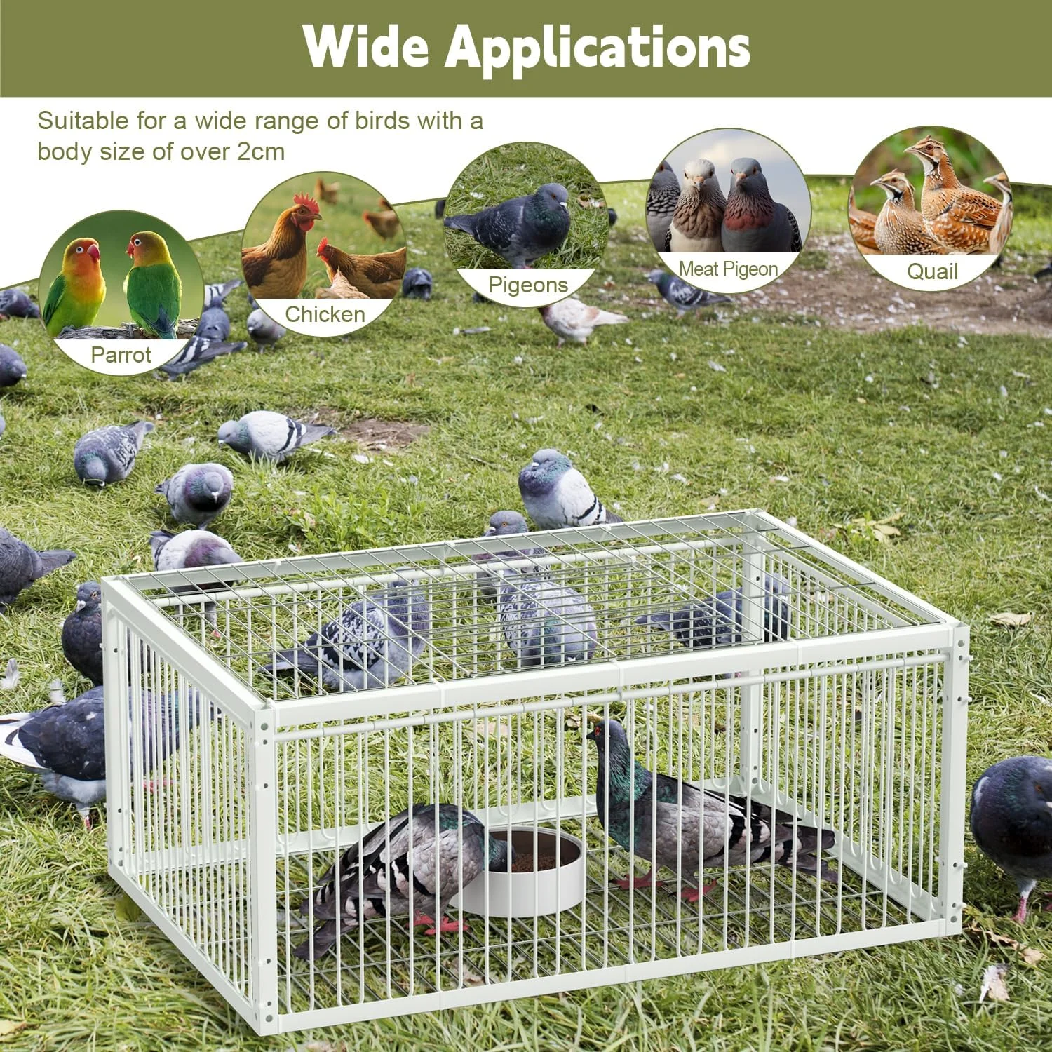 تله کبوتر یبایمی با ورودی یک طرفه (4 درب)، قفس گیرنده پرنده، تله خودکار کبوتر با طراحی ضد فرار، قفس پرنده برای کبوترهای مسابقه ای و طوطی، برای فضای باز و داخلی، 60x40x26 سانتی متر تله کبوتر یبایمی با ورودی یک طرفه (4 درب)، قفس گیرنده پرنده، تله خودکار کبوتر با طراحی ضد فرار، قفس پرنده برای کبوترهای مسابقه ای و طوطی، برای فضای باز و داخلی، 60x40x26 سانتی متر