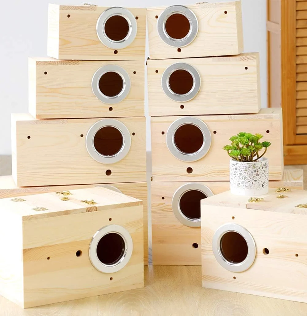 جعبه لانه طوطی کاج YLmeet، خانه پرندگان، جعبه های جفت گیری و پرورش مرغ عشق، جعبه لانه برای طوطی های کوتوله (S) جعبه لانه طوطی کاج YLmeet، خانه پرندگان، جعبه های جفت گیری و پرورش مرغ عشق، جعبه لانه برای طوطی های کوتوله (S)