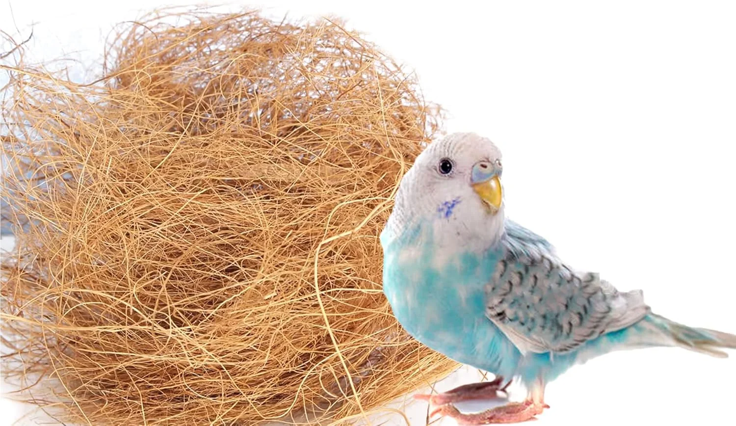 Yamibobo 1 Pack Bird Nesting Materials Coconut Fiber, Parakeet Nesting Bird Nest Bedding Material Warm and Breathable for Bird Small Animals Yamibobo 1 Pack Bird Nesting Materials Coconut Fiber, Parakeet Nesting Bird Nest Bedding Material Warm and Breathable for Bird Small Animals