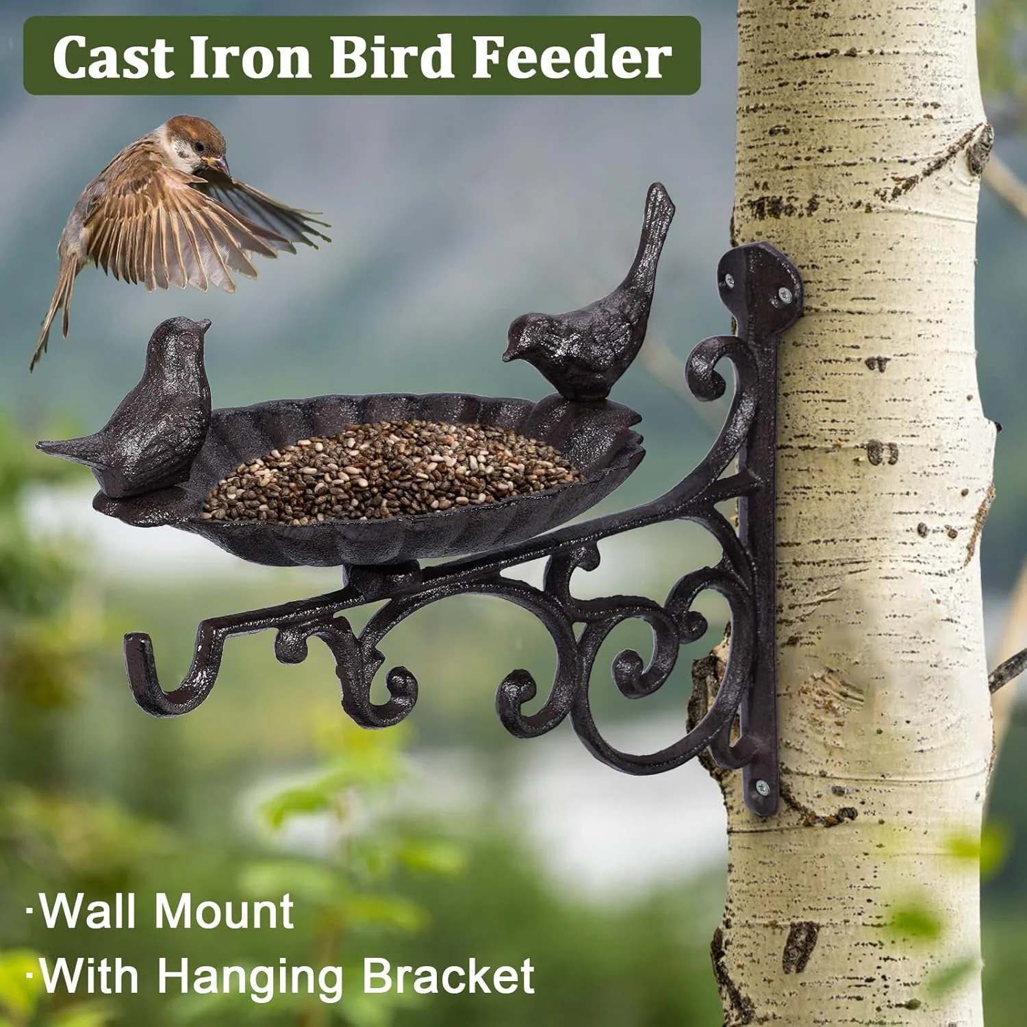 آبخوری/دانخوری دیواری پرندگان JUXYES با براکت آویز، کاسه حمام پرنده چدنی سنگین برای فضای باز، قلاب دیواری پرنده تزئینی باغ عتیقه برای آویزان کردن گیاهان، فانوس ها، زنگ های بادی آبخوری/دانخوری دیواری پرندگان JUXYES با براکت آویز، کاسه حمام پرنده چدنی سنگین برای فضای باز، قلاب دیواری پرنده تزئینی باغ عتیقه برای آویزان کردن گیاهان، فانوس ها، زنگ های بادی