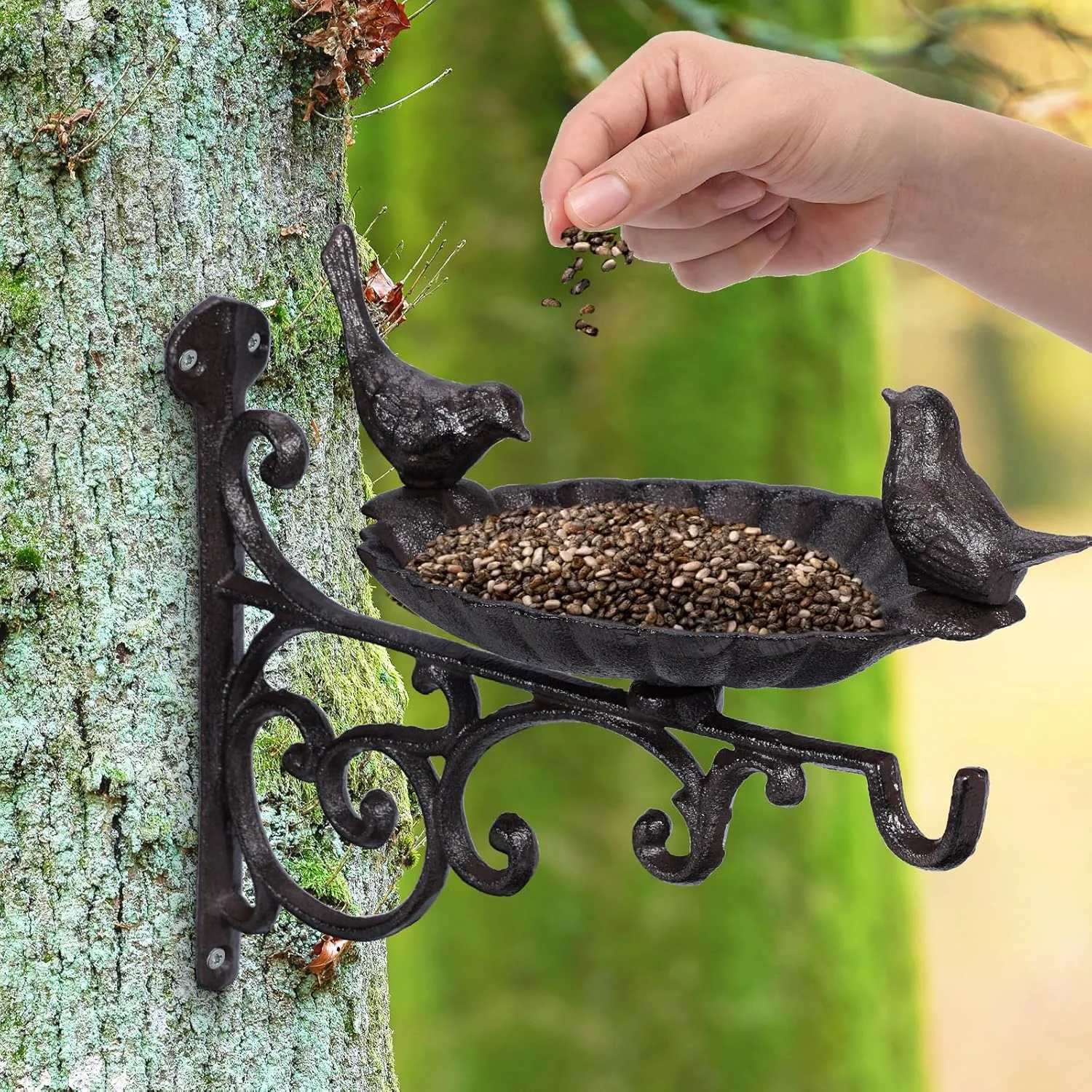 آبخوری/دانخوری دیواری پرندگان JUXYES با براکت آویز، کاسه حمام پرنده چدنی سنگین برای فضای باز، قلاب دیواری پرنده تزئینی باغ عتیقه برای آویزان کردن گیاهان، فانوس ها، زنگ های بادی آبخوری/دانخوری دیواری پرندگان JUXYES با براکت آویز، کاسه حمام پرنده چدنی سنگین برای فضای باز، قلاب دیواری پرنده تزئینی باغ عتیقه برای آویزان کردن گیاهان، فانوس ها، زنگ های بادی