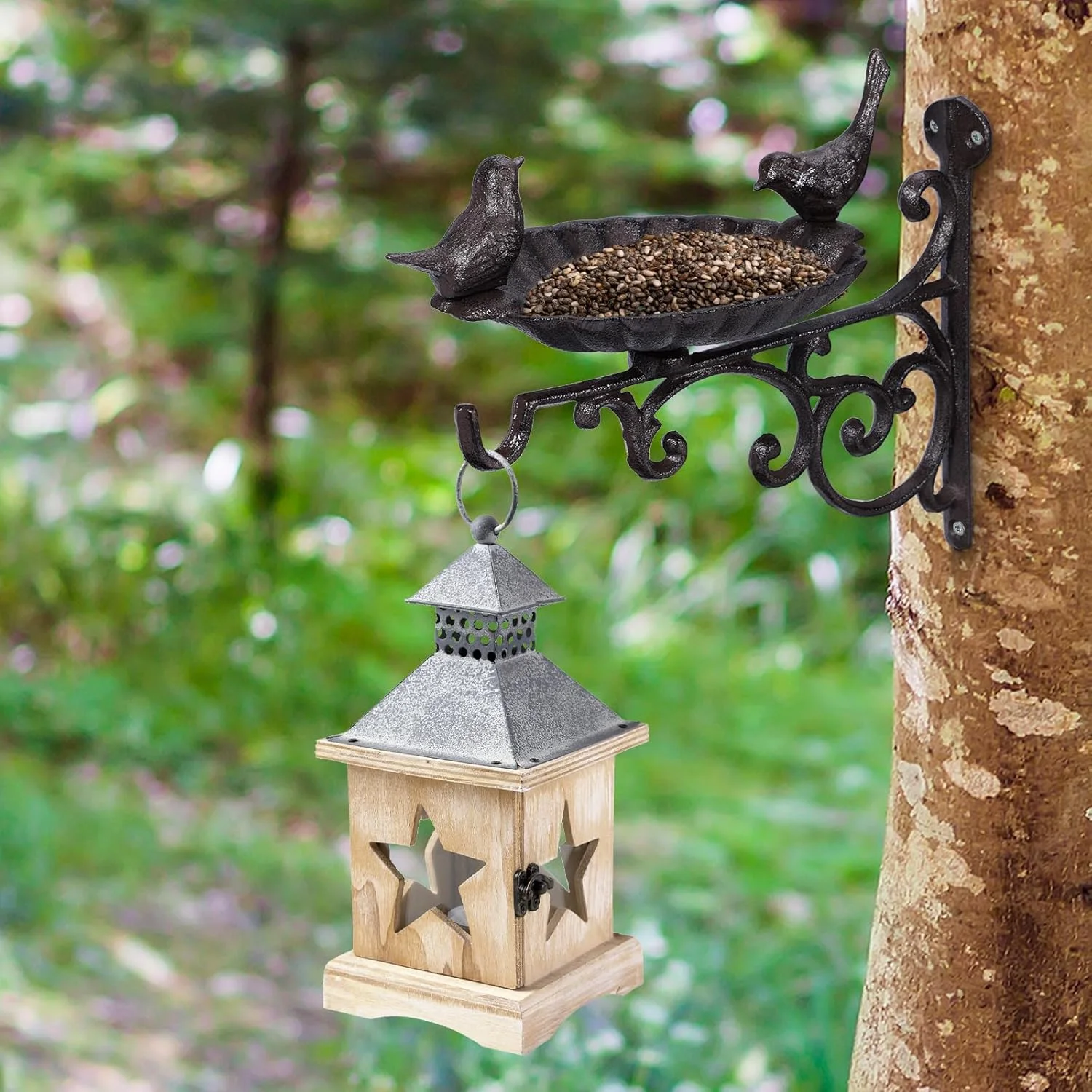 آبخوری/دانخوری دیواری پرندگان JUXYES با براکت آویز، کاسه حمام پرنده چدنی سنگین برای فضای باز، قلاب دیواری پرنده تزئینی باغ عتیقه برای آویزان کردن گیاهان، فانوس ها، زنگ های بادی آبخوری/دانخوری دیواری پرندگان JUXYES با براکت آویز، کاسه حمام پرنده چدنی سنگین برای فضای باز، قلاب دیواری پرنده تزئینی باغ عتیقه برای آویزان کردن گیاهان، فانوس ها، زنگ های بادی
