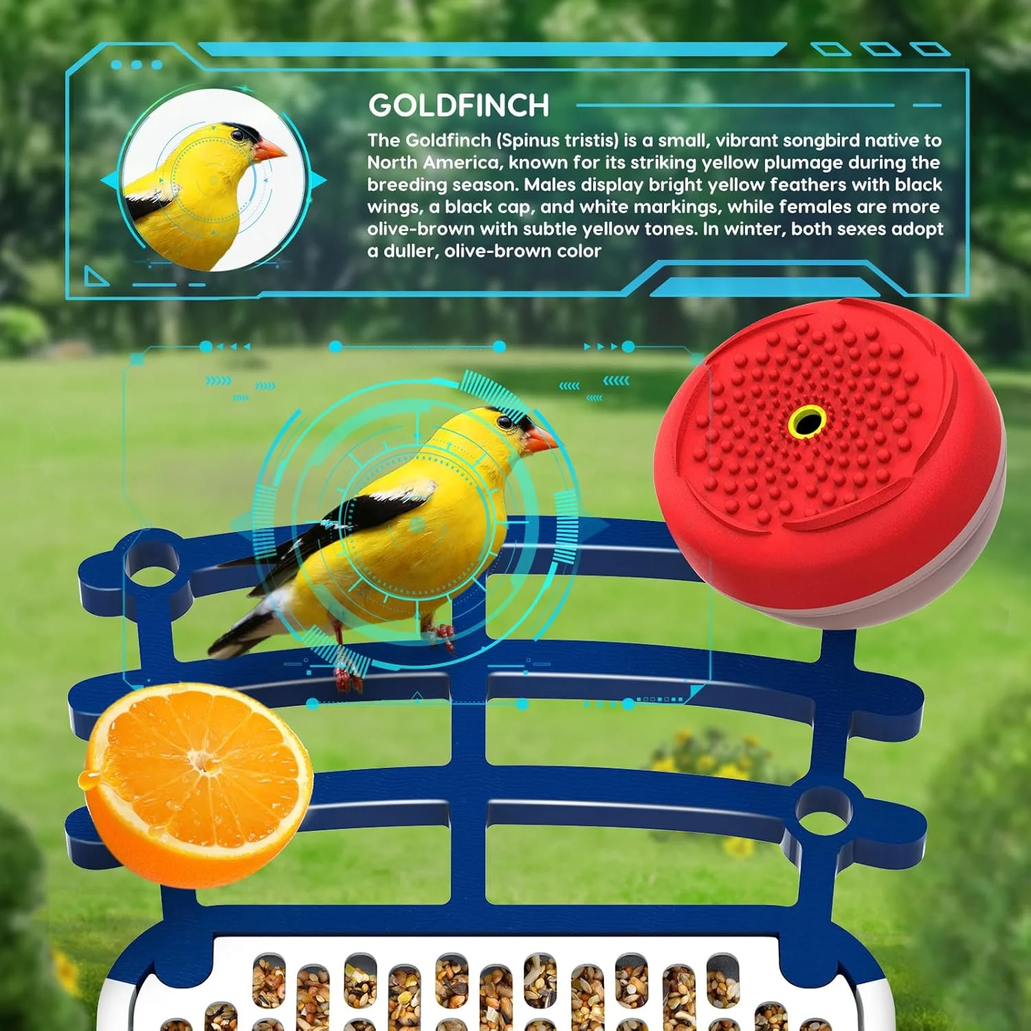 فیدر پرنده هوشمند با دوربین، فیدر پرنده دوربین دار 2.5K HD با قابلیت شناسایی هوش مصنوعی، ضبط خودکار ویدیوها و تشخیص حرکت، خانه پرنده فیدر پرنده برای دوستداران پرندگان، خانواده، دوستان فیدر پرنده هوشمند با دوربین، فیدر پرنده دوربین دار 2.5K HD با قابلیت شناسایی هوش مصنوعی، ضبط خودکار ویدیوها و تشخیص حرکت، خانه پرنده فیدر پرنده برای دوستداران پرندگان، خانواده، دوستان