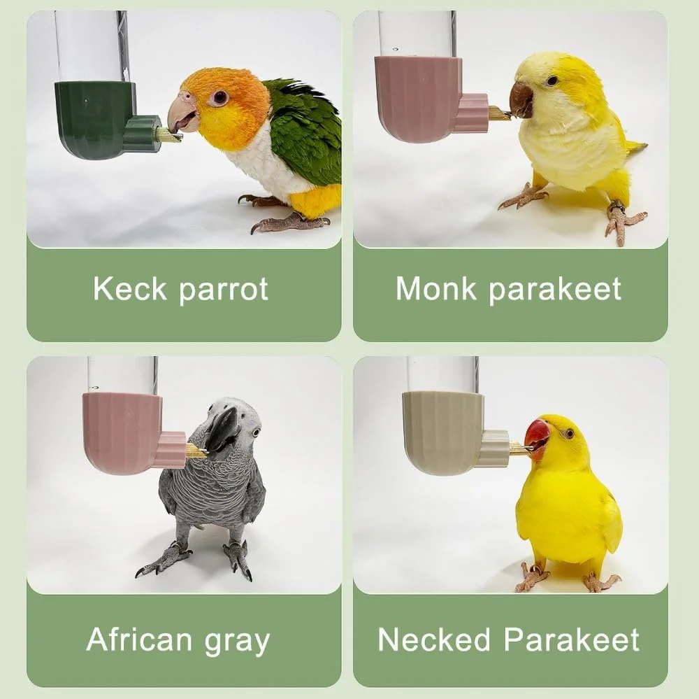 آبخوری پرنده YICUTE، دستگاه نوشیدنی اتوماتیک پرنده، آب پخش کن طوطی، بطری آب پرنده، لوازم جانبی قفس پرنده، آبنما طوطی (220 میلی لیتر)