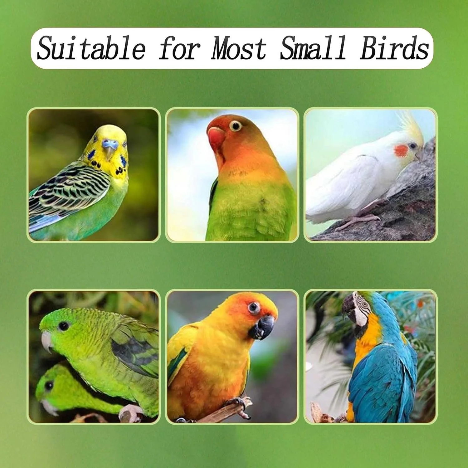 قفس سینی دانه گیر خوراک پرنده Xxmbbjy، قفس پرنده شفاف بدون ریخت و پاش با قلاب های استیل ضد زنگ برای پرندگان کوچک قناری، مرغ عشق، طوطی برزیلی، مینای طوق دار، عروس هلندی و مرغ عشق قفس سینی دانه گیر خوراک پرنده Xxmbbjy، قفس پرنده شفاف بدون ریخت و پاش با قلاب های استیل ضد زنگ برای پرندگان کوچک قناری، مرغ عشق، طوطی برزیلی، مینای طوق دار، عروس هلندی و مرغ عشق