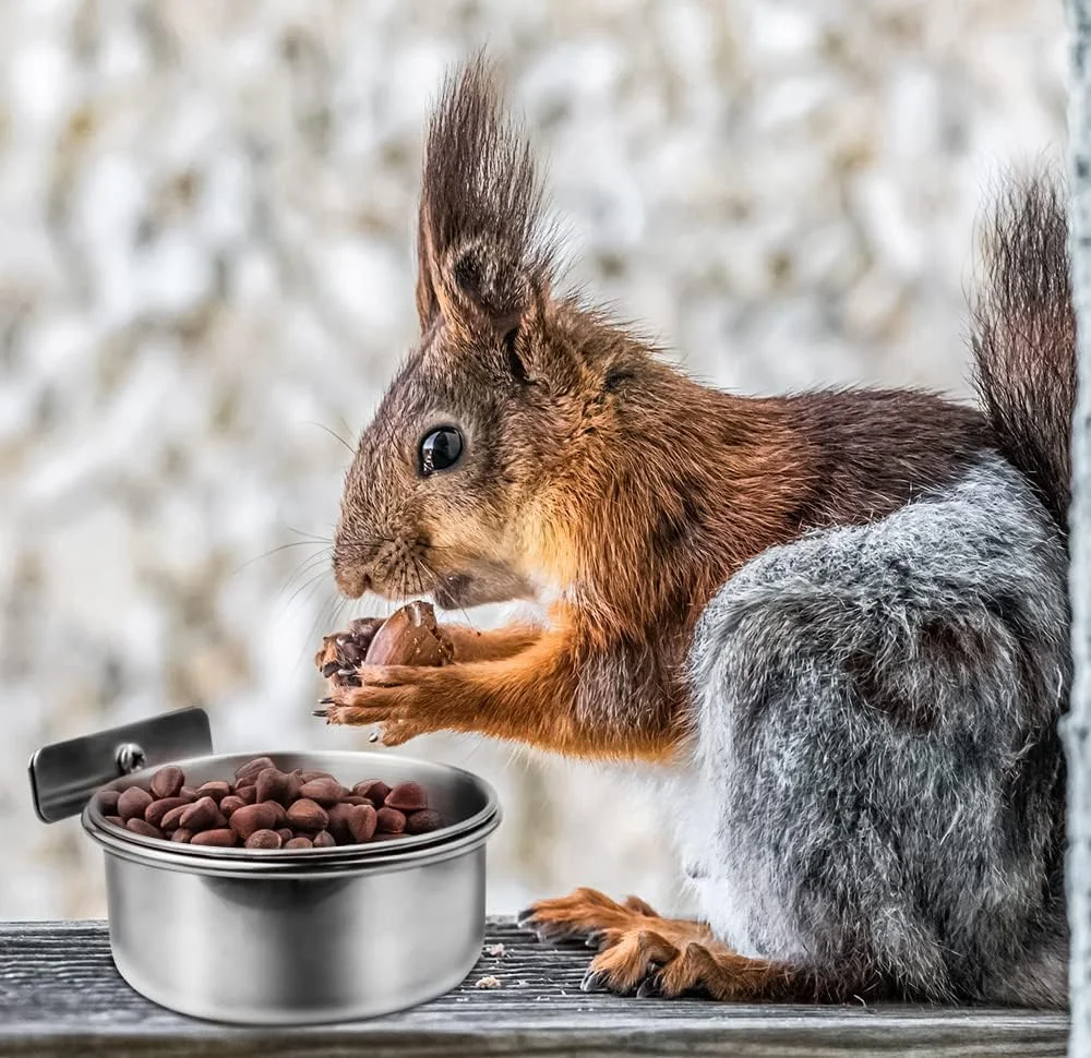 ظروف غذای طوطی VELEGO، 2 عدد، ظرف غذای پرندگان، استیل ضد زنگ، کاسه های آب قفس با گیره نگهدارنده برای عروس هلندی، کانور، مرغ عشق، طوطی، ماکائو، حیوانات کوچک، چینچیلا ظروف غذای طوطی VELEGO، 2 عدد، ظرف غذای پرندگان، استیل ضد زنگ، کاسه های آب قفس با گیره نگهدارنده برای عروس هلندی، کانور، مرغ عشق، طوطی، ماکائو، حیوانات کوچک، چینچیلا