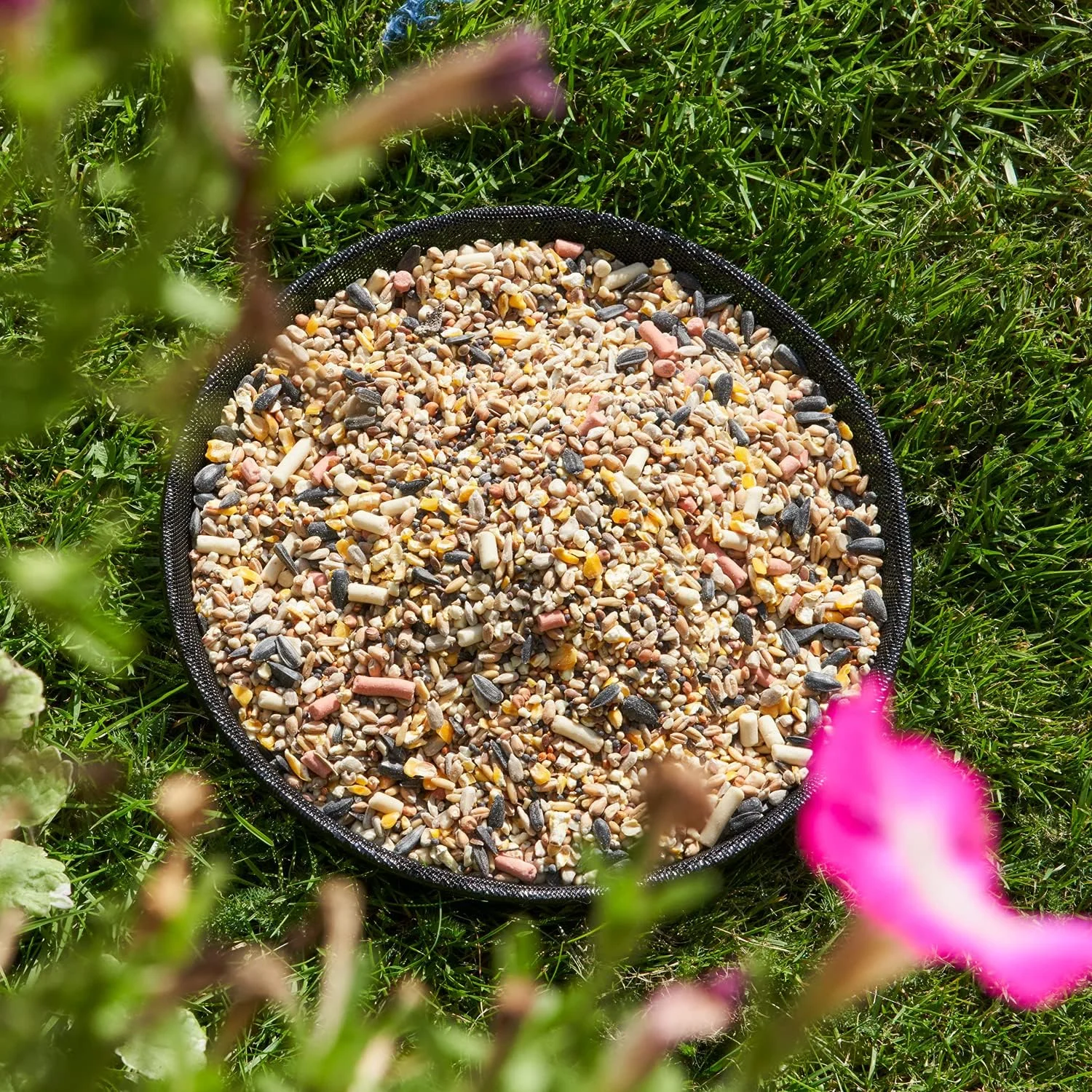 سینی غذای زمینی فلزی سنگین والتر هریسون برای تغذیه پرندگان وحشی باغ - توری مشکی - 22 سانتی متر سینی غذای زمینی فلزی سنگین والتر هریسون برای تغذیه پرندگان وحشی باغ - توری مشکی - 22 سانتی متر