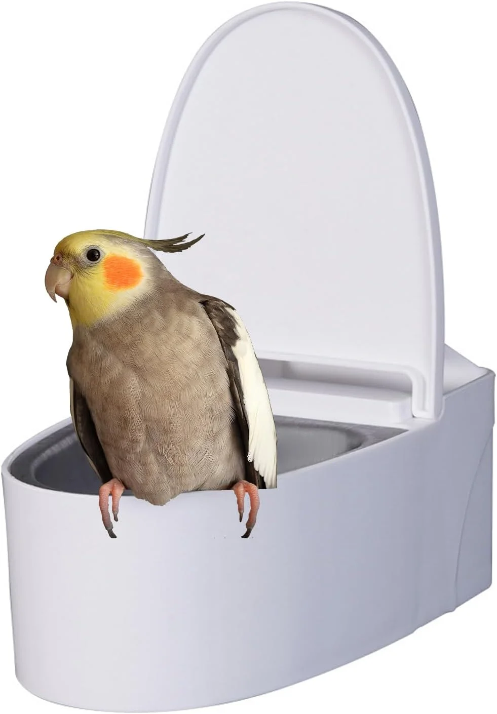 ابزار آموزش توالت پرنده، توالت آموزش دیواری برای پرنده | تغذیه کننده غذای حیوانات نژاد کوچک و متوسط با نصب چسبی برای مرغ عشق، طوطی، عروس هلندی، مرغ باجریگار ابزار آموزش توالت پرنده، توالت آموزش دیواری برای پرنده | تغذیه کننده غذای حیوانات نژاد کوچک و متوسط با نصب چسبی برای مرغ عشق، طوطی، عروس هلندی، مرغ باجریگار