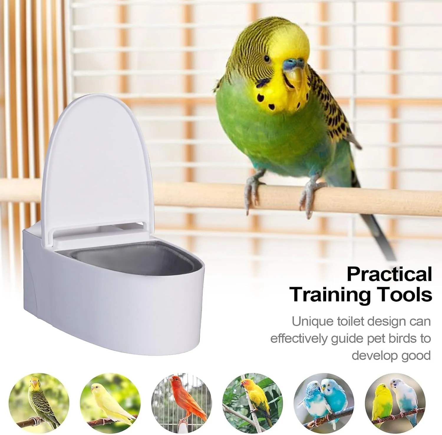 ابزار آموزش توالت پرنده، توالت آموزش دیواری برای پرنده | تغذیه کننده غذای حیوانات نژاد کوچک و متوسط با نصب چسبی برای مرغ عشق، طوطی، عروس هلندی، مرغ باجریگار ابزار آموزش توالت پرنده، توالت آموزش دیواری برای پرنده | تغذیه کننده غذای حیوانات نژاد کوچک و متوسط با نصب چسبی برای مرغ عشق، طوطی، عروس هلندی، مرغ باجریگار