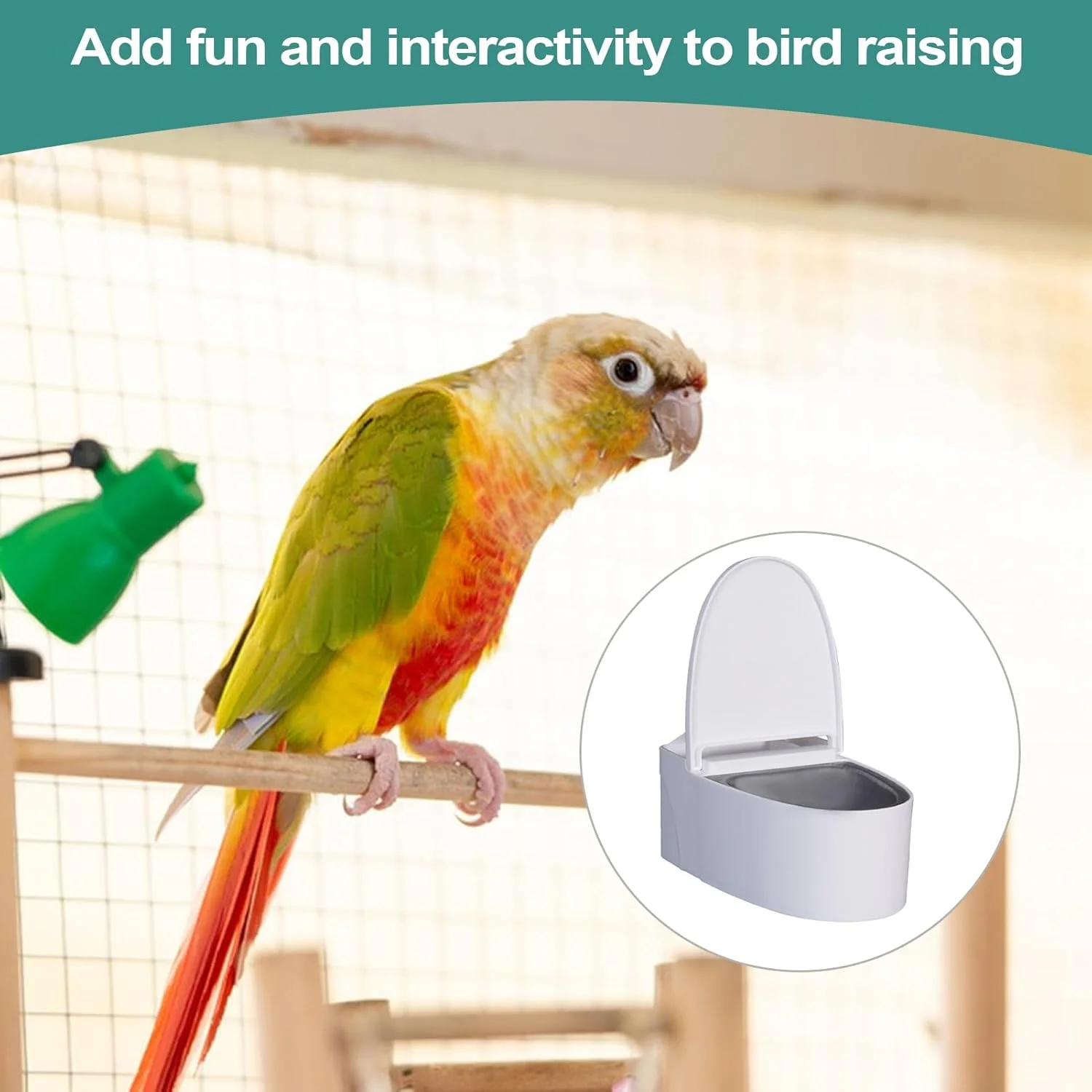 توالت پرنده خانگی - ابزار آموزش توالت دیواری پرنده | کاسه تغذیه چسبی، سبد غذای پرندگان برای طوطی ها، مرغ عشق ها، طوطی های برزیلی، فنچ ها توالت پرنده خانگی - ابزار آموزش توالت دیواری پرنده | کاسه تغذیه چسبی، سبد غذای پرندگان برای طوطی ها، مرغ عشق ها، طوطی های برزیلی، فنچ ها