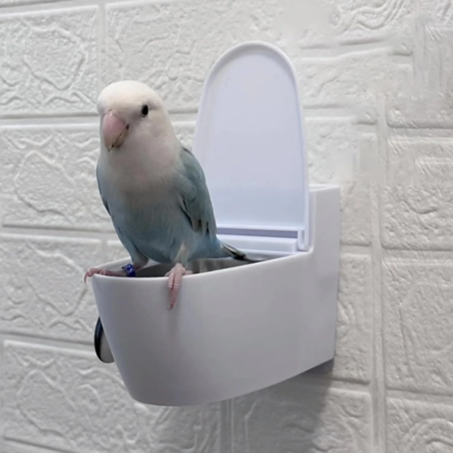 توالت پرنده خانگی - ابزار آموزش توالت دیواری پرنده | کاسه تغذیه چسبی، سبد غذای پرندگان برای طوطی ها، مرغ عشق ها، طوطی های برزیلی، فنچ ها توالت پرنده خانگی - ابزار آموزش توالت دیواری پرنده | کاسه تغذیه چسبی، سبد غذای پرندگان برای طوطی ها، مرغ عشق ها، طوطی های برزیلی، فنچ ها