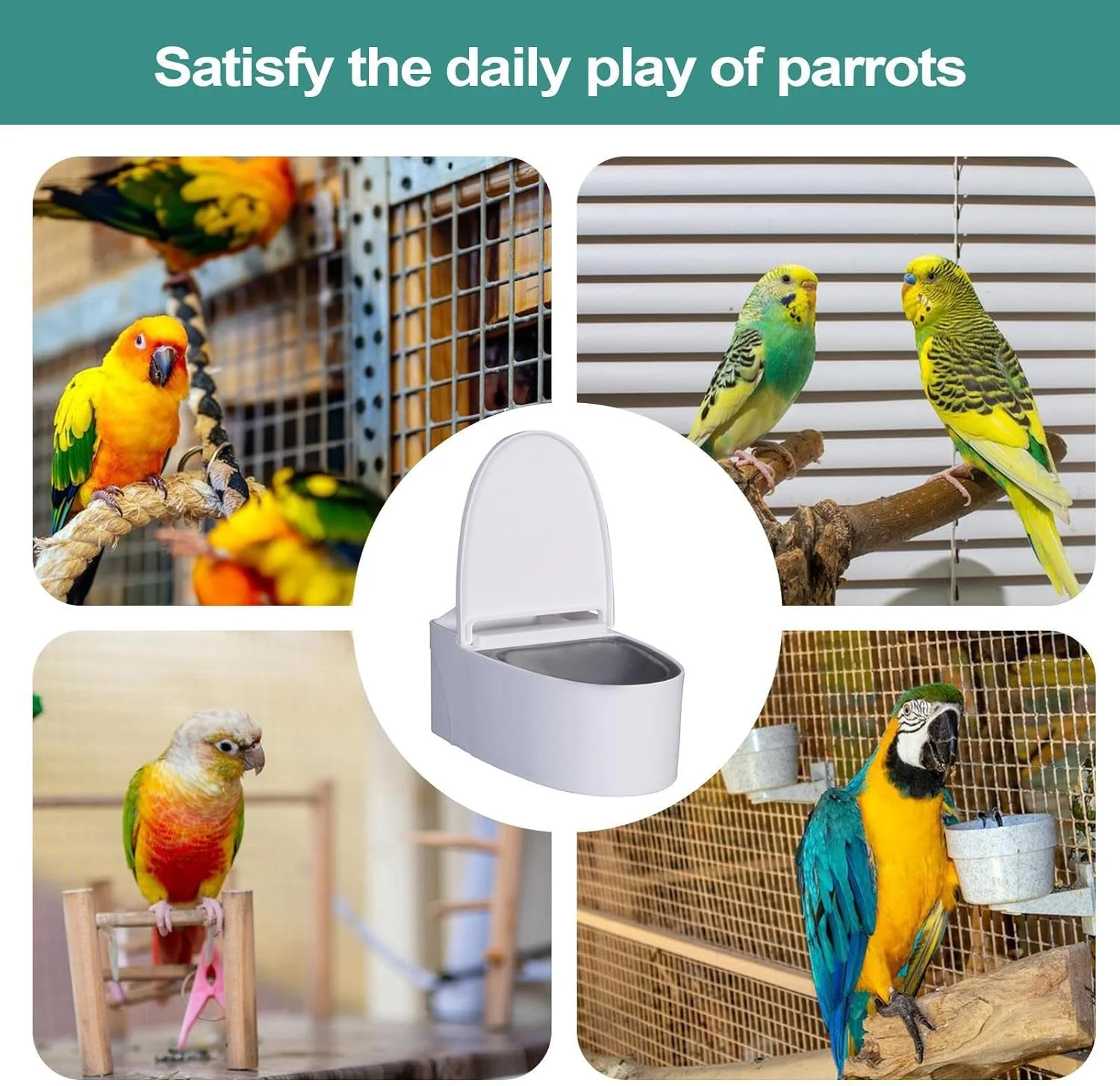 توالت پرنده خانگی - ابزار آموزش توالت دیواری پرنده | کاسه تغذیه چسبی، سبد غذای پرندگان برای طوطی ها، مرغ عشق ها، طوطی های برزیلی، فنچ ها توالت پرنده خانگی - ابزار آموزش توالت دیواری پرنده | کاسه تغذیه چسبی، سبد غذای پرندگان برای طوطی ها، مرغ عشق ها، طوطی های برزیلی، فنچ ها