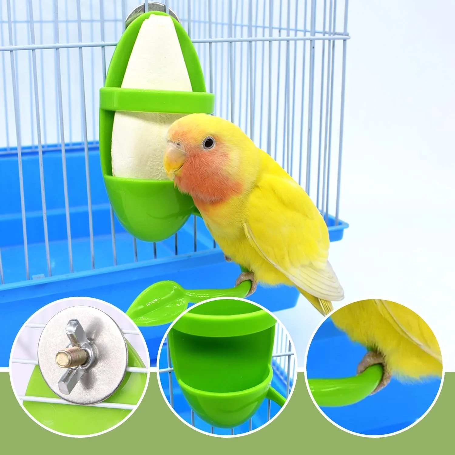ست دانخوری دو تکه و آبخوری یک تکه پرندگان TERRIFI، پایه دانخوری طوطی، لوازم پرندگان خانگی، ظرف غذا برای پرندگان، شامل اسکلت ماهی مرکب پرنده، بادوام و آسان برای استفاده ست دانخوری دو تکه و آبخوری یک تکه پرندگان TERRIFI، پایه دانخوری طوطی، لوازم پرندگان خانگی، ظرف غذا برای پرندگان، شامل اسکلت ماهی مرکب پرنده، بادوام و آسان برای استفاده